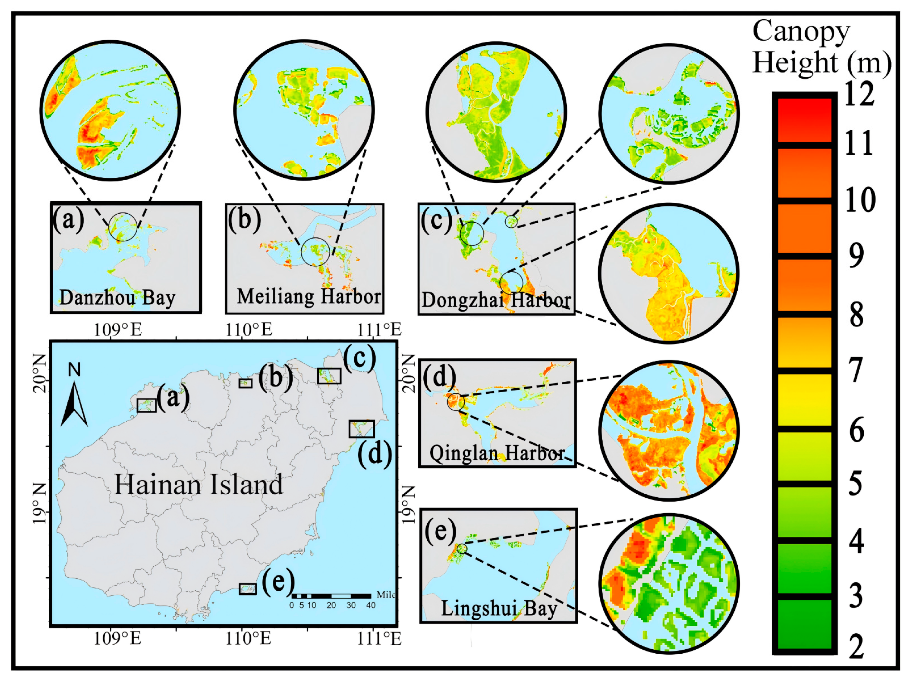 Forests 17 00131 g007