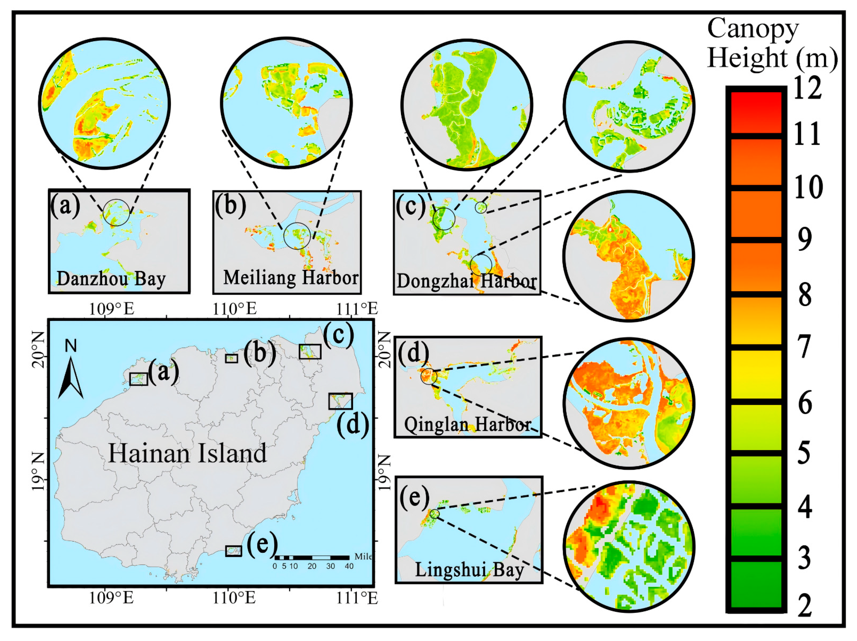 Forests 17 00131 g008