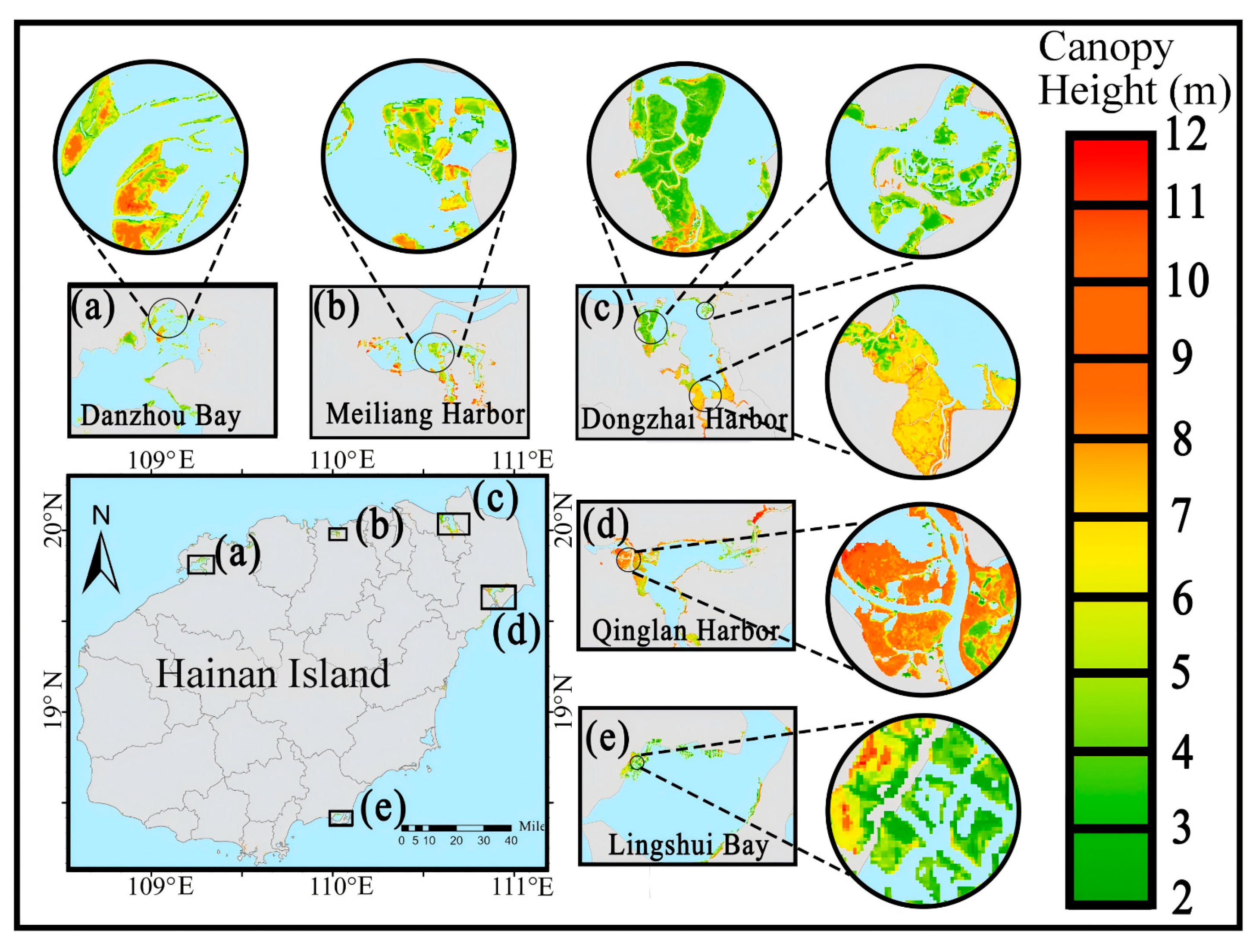 Forests 17 00131 g010