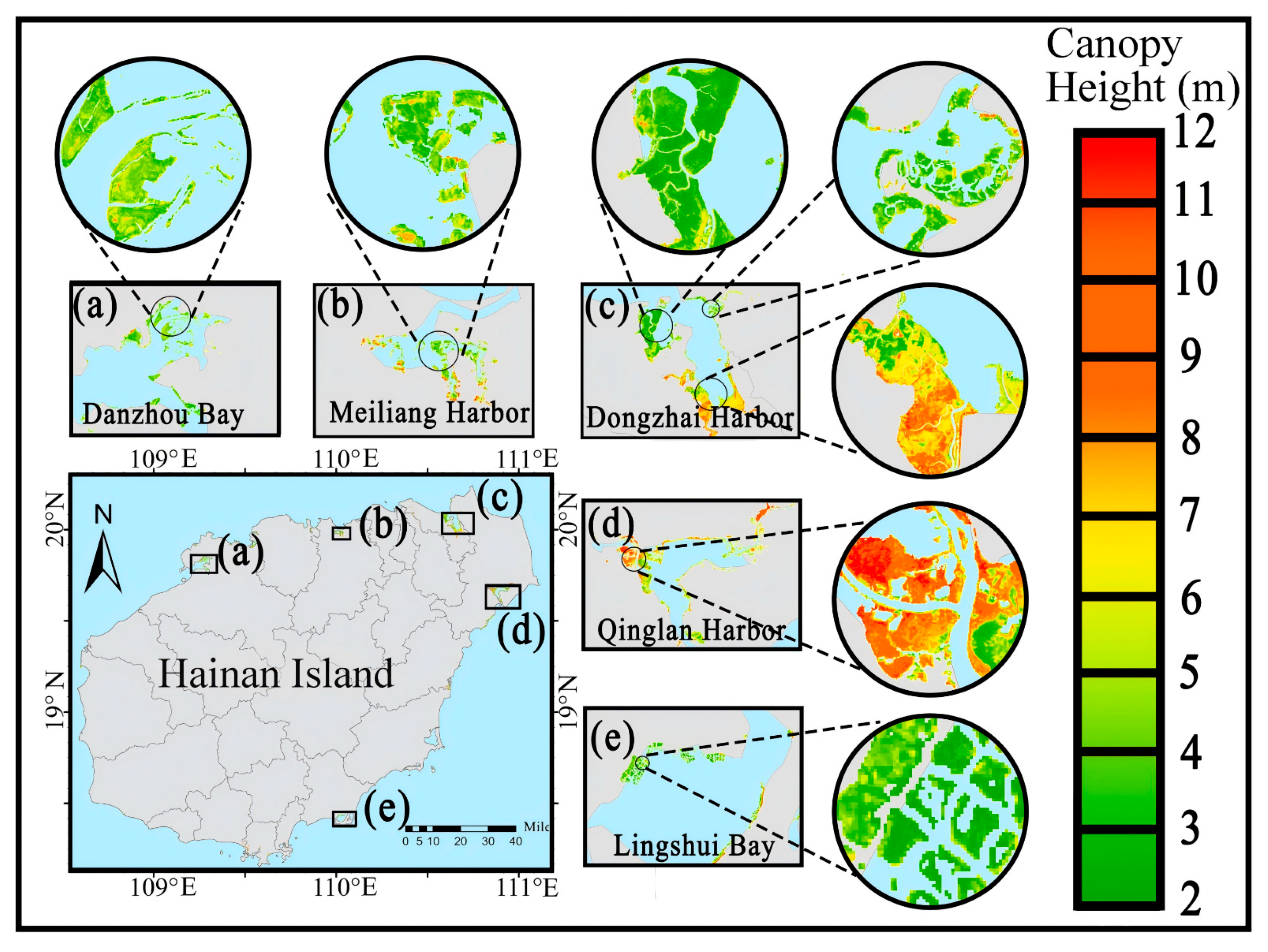 Forests 17 00131 g011