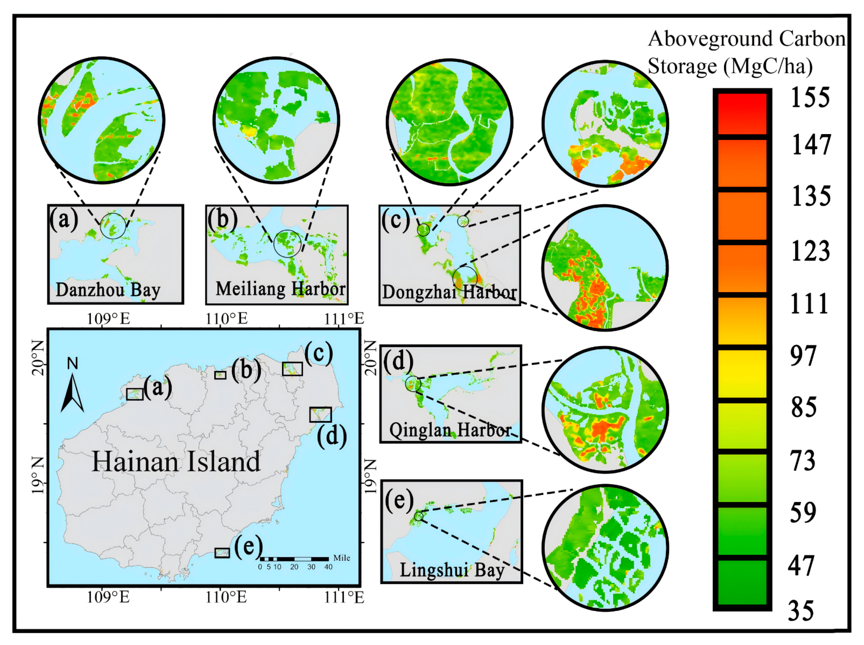 Forests 17 00131 g013