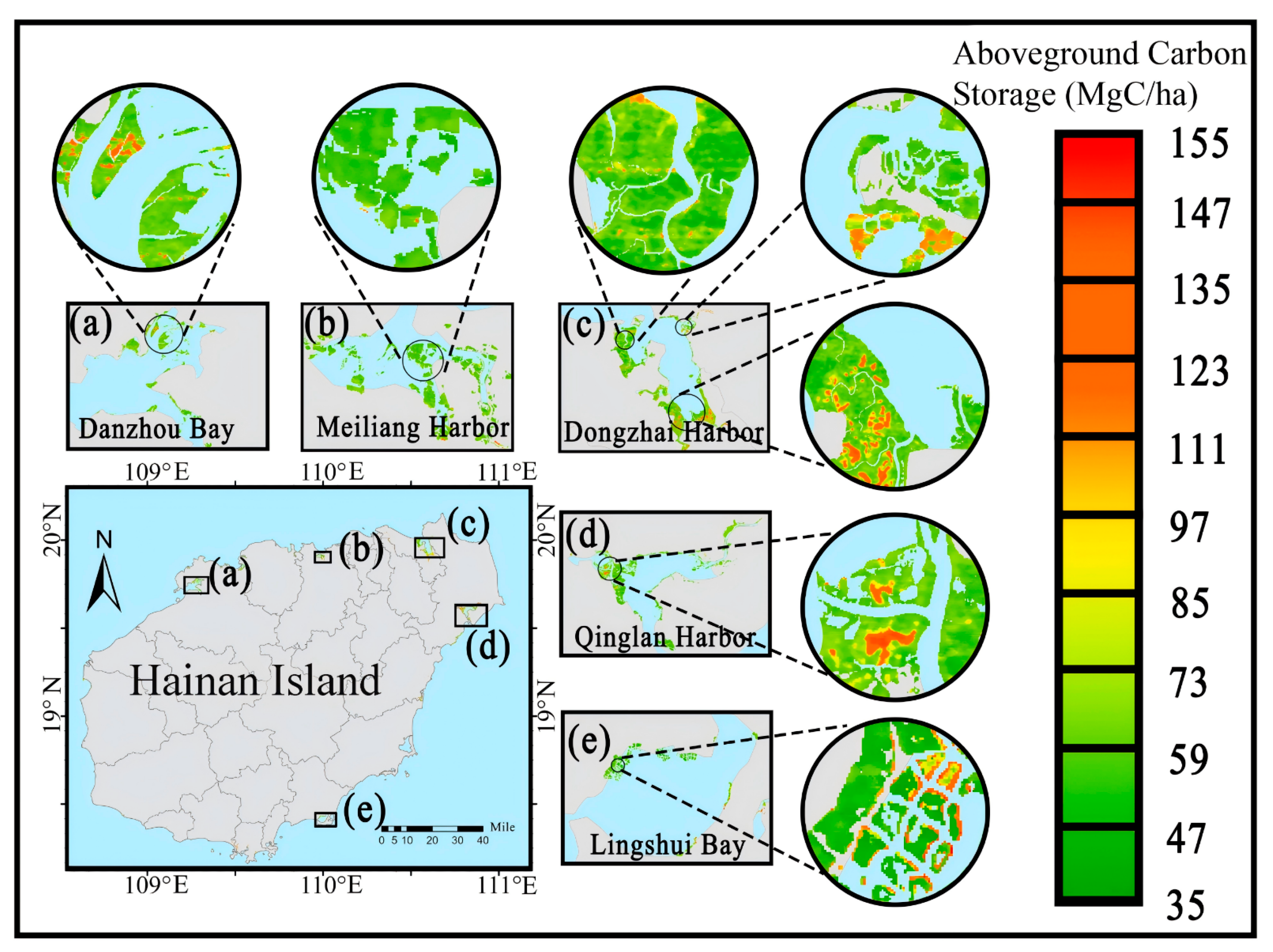 Forests 17 00131 g015