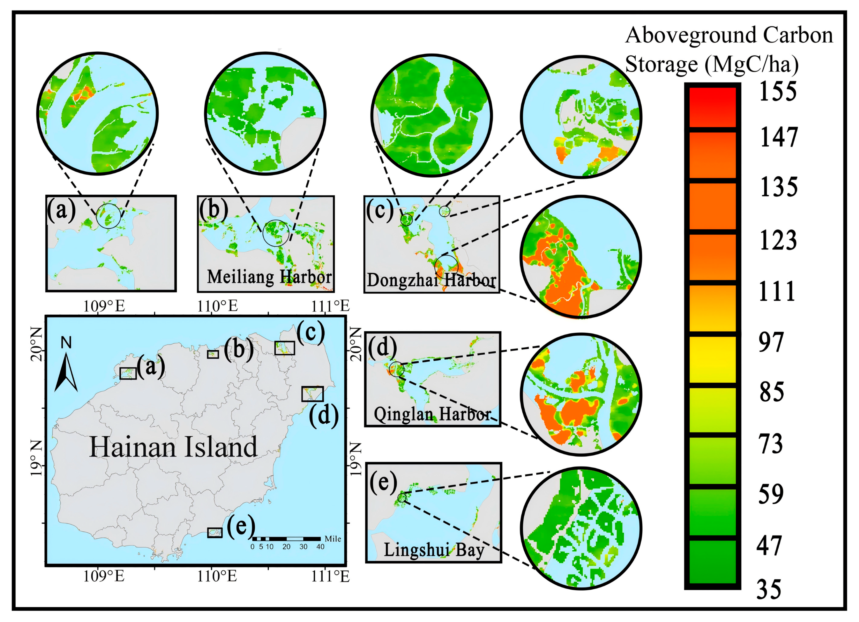 Forests 17 00131 g016