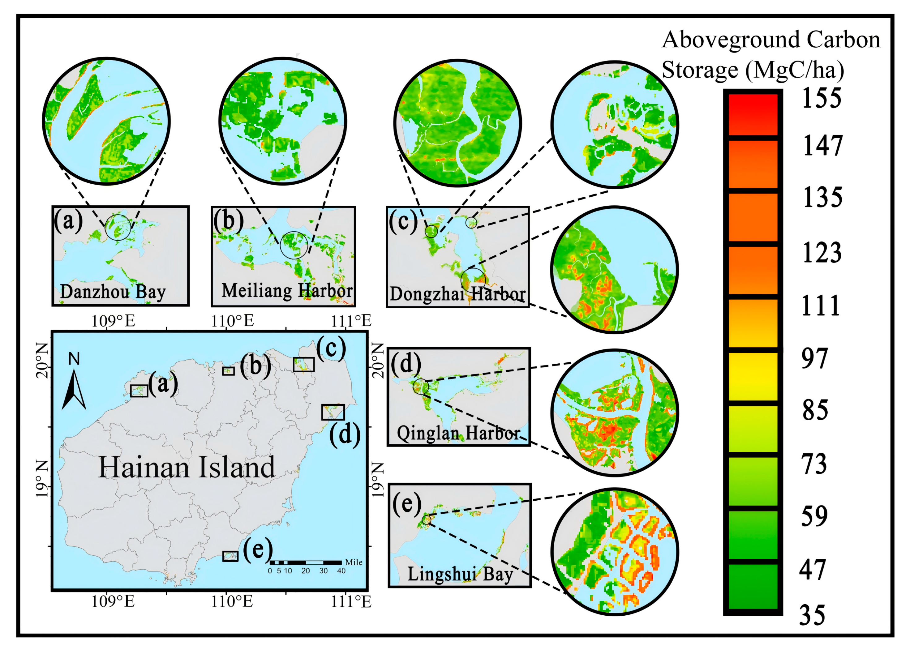 Forests 17 00131 g017