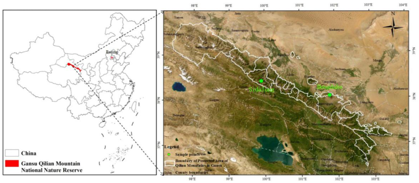 Forests 17 00140 g001