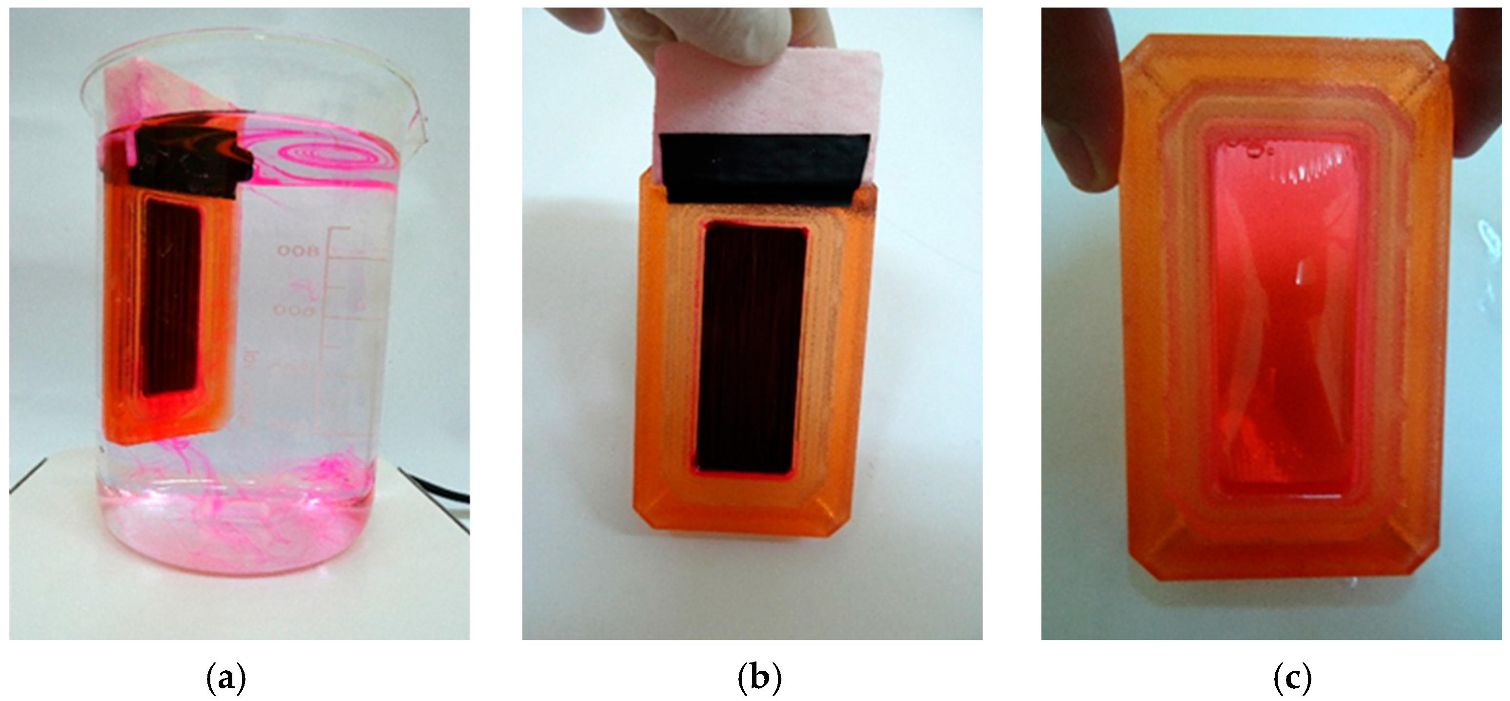 Forests 17 00148 g001 Forests 17 00148 g001