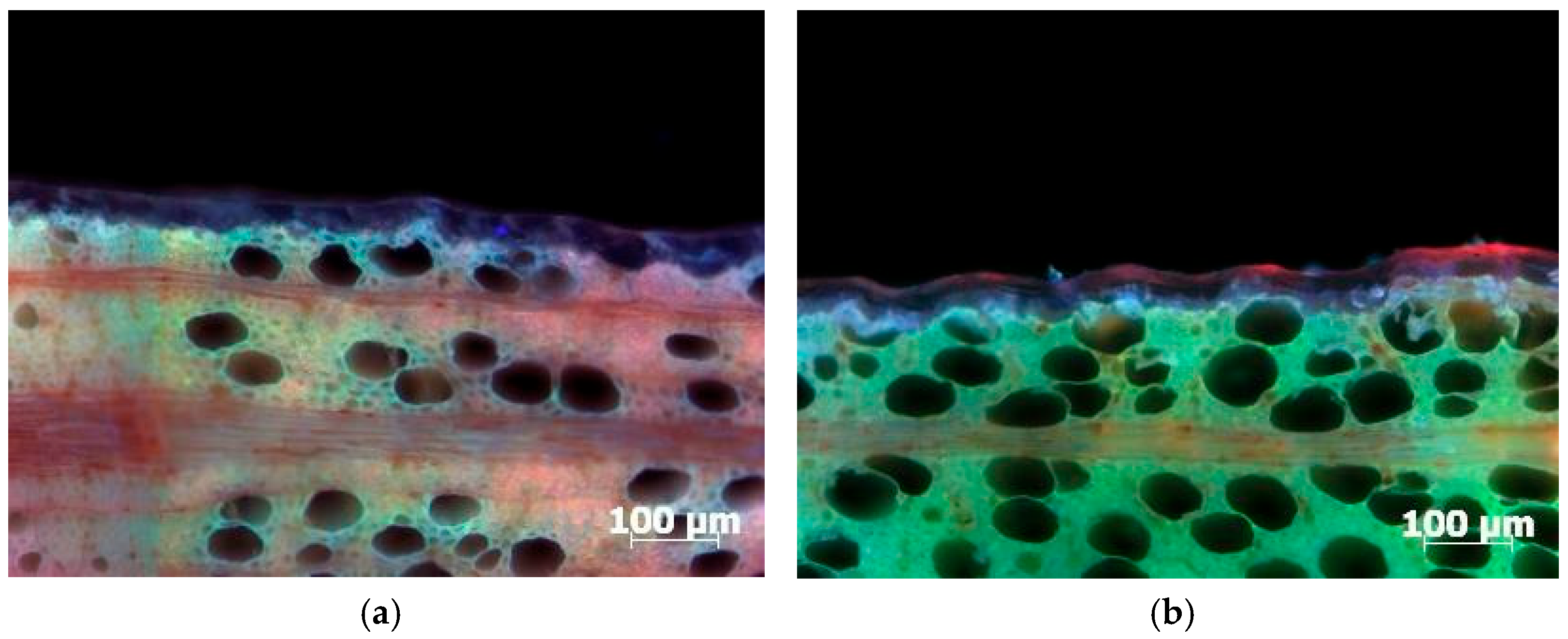 Forests 17 00148 g002 Forests 17 00148 g002