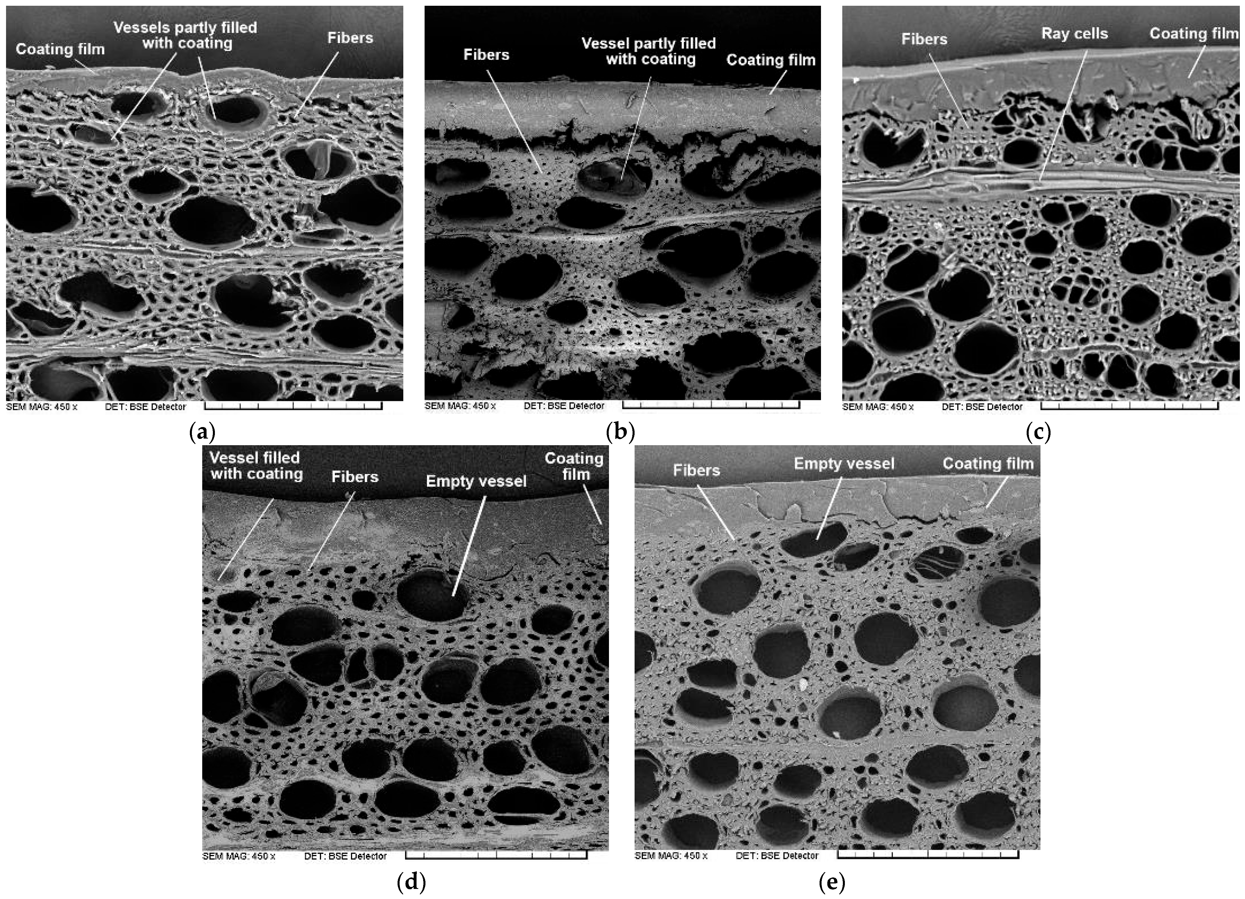 Forests 17 00148 g005 Forests 17 00148 g005