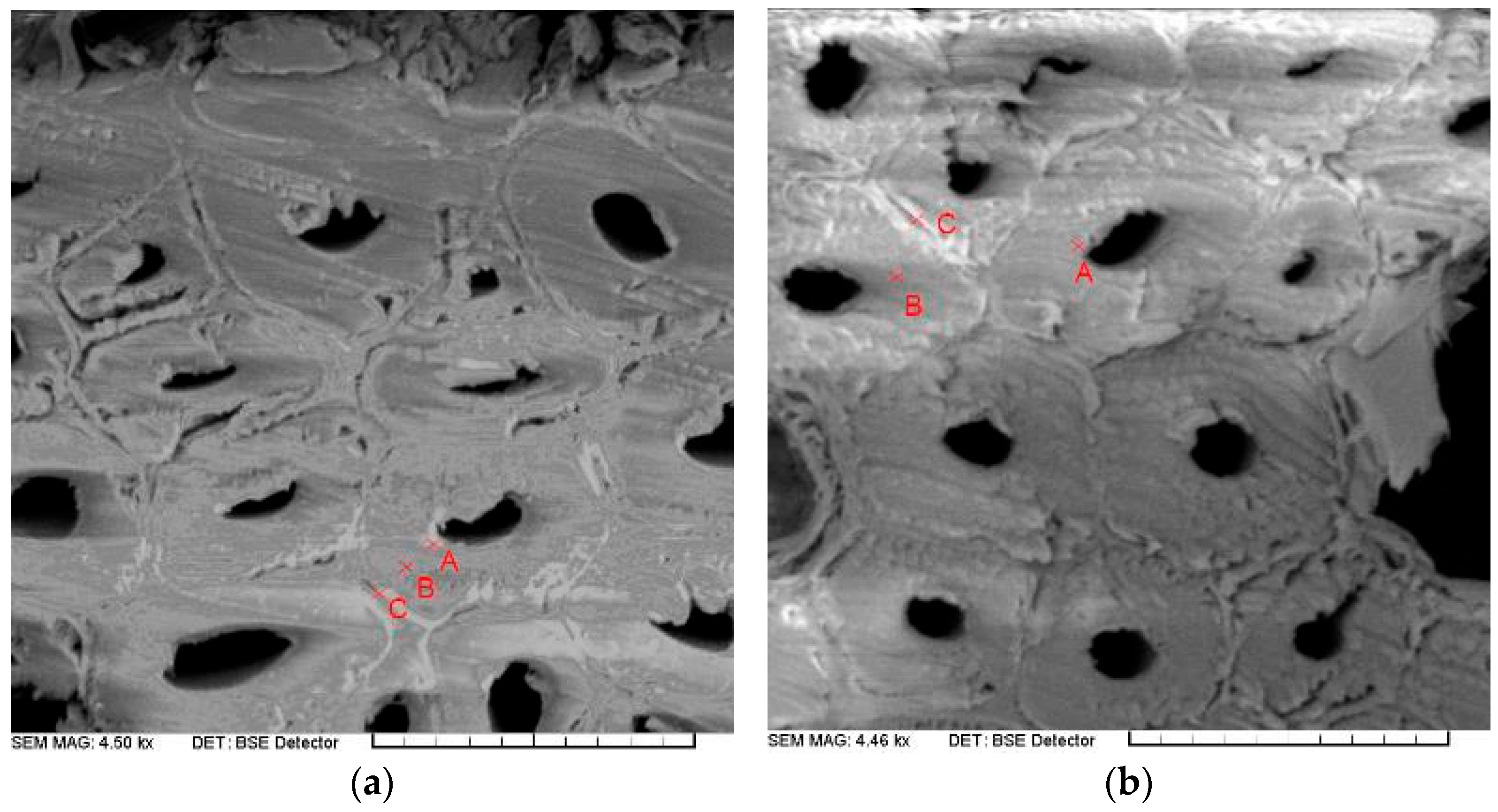 Forests 17 00148 g006 Forests 17 00148 g006