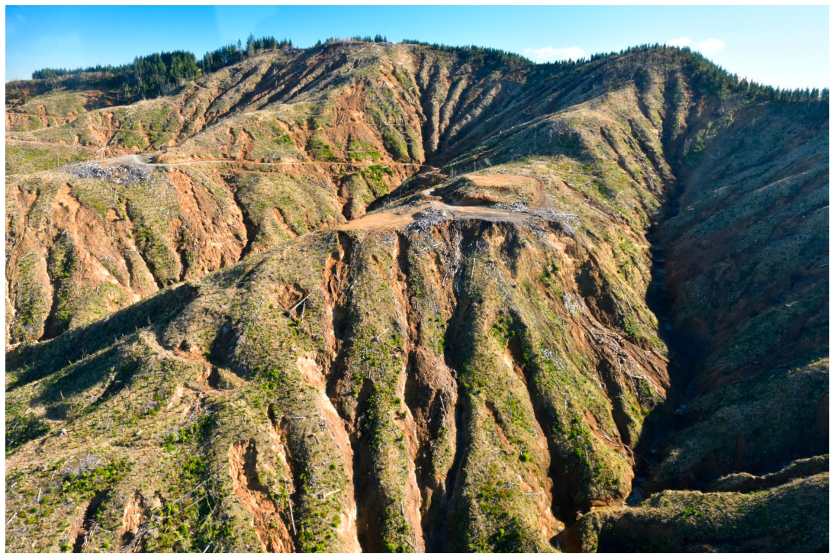 Forests 17 00170 g002