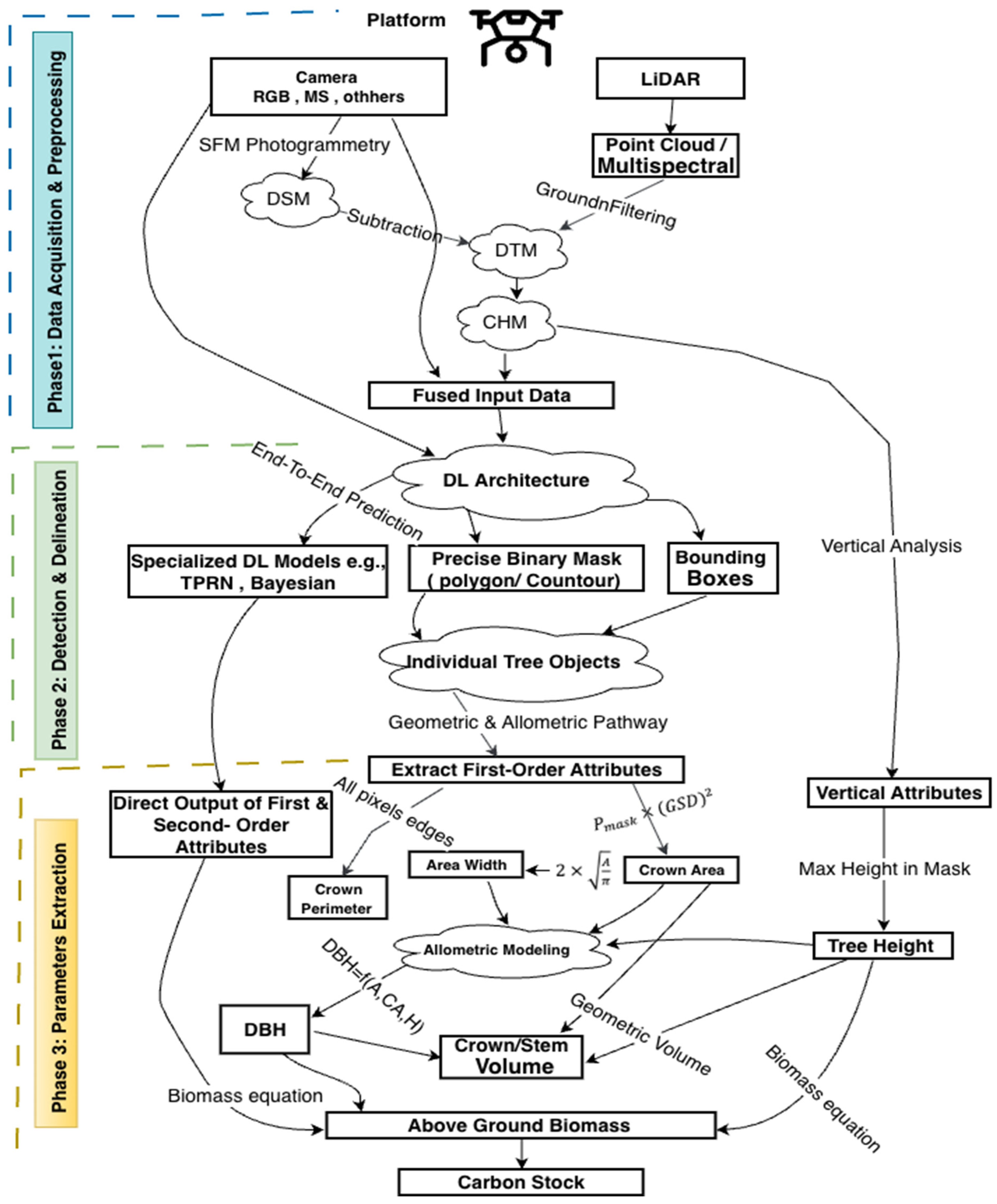 Forests 17 00179 g003 Forests 17 00179 g003