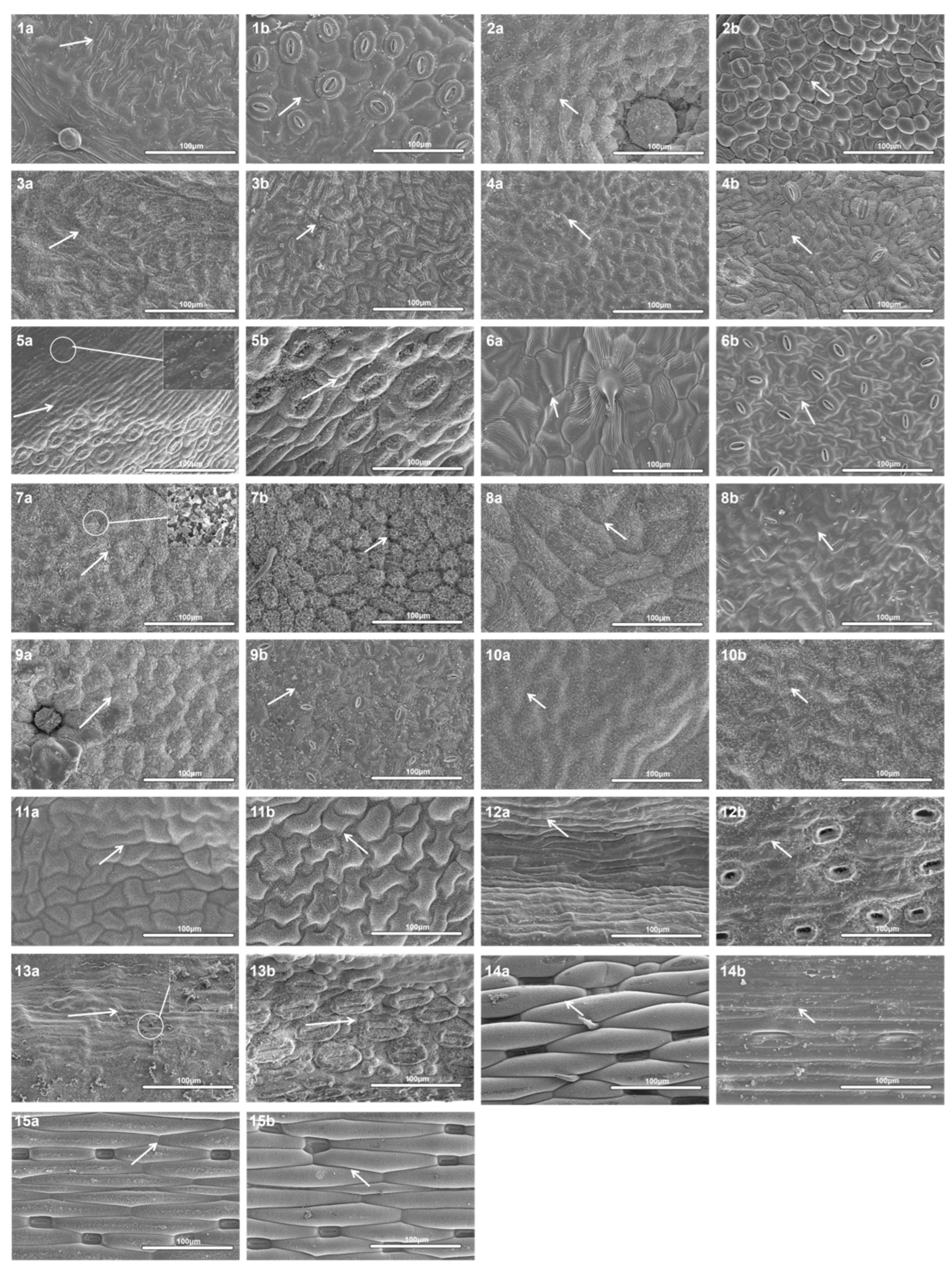 Forests 17 00375 g009 Forests 17 00375 g009