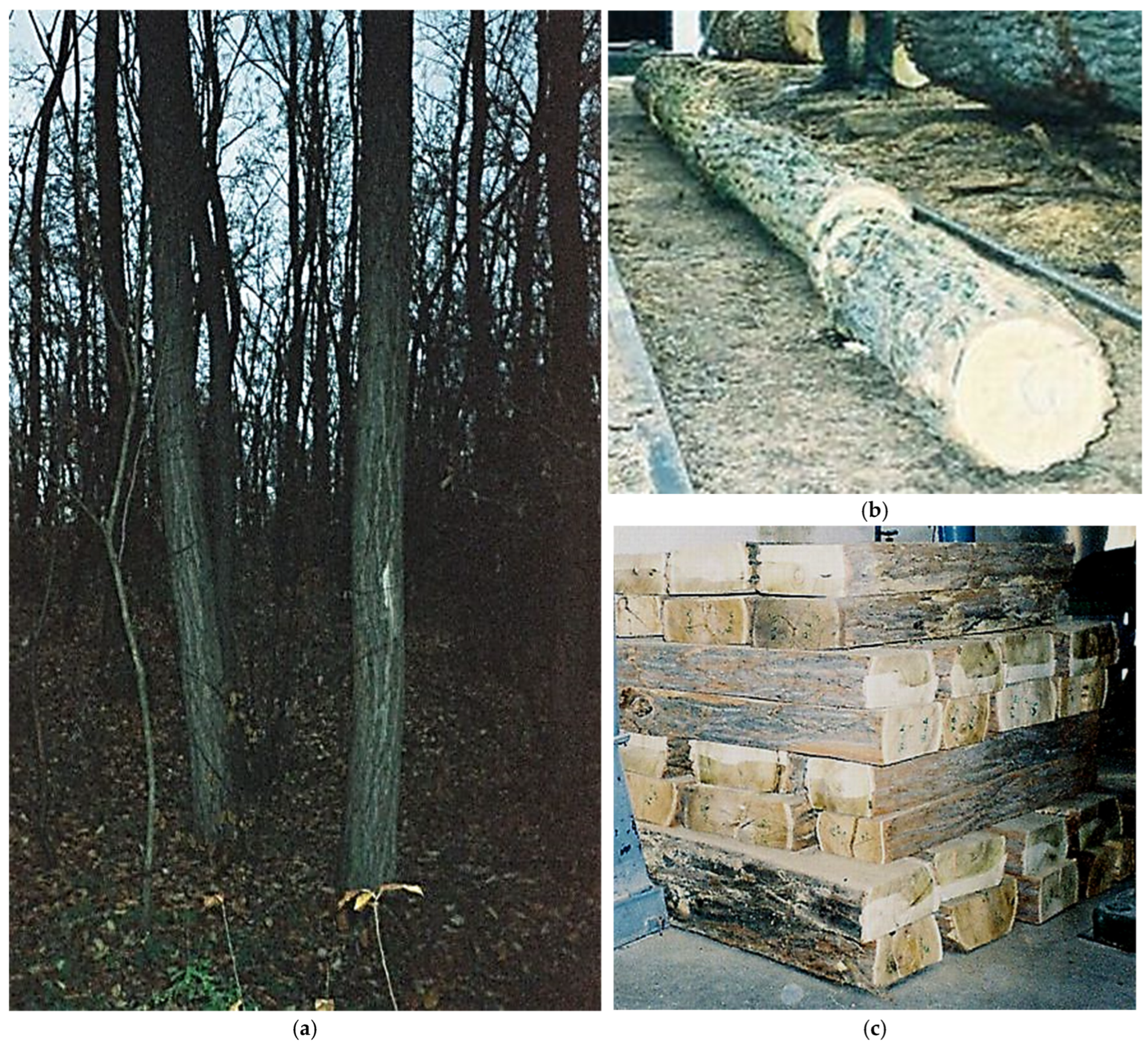 Forests 17 00841 g002 Forests 17 00841 g002
