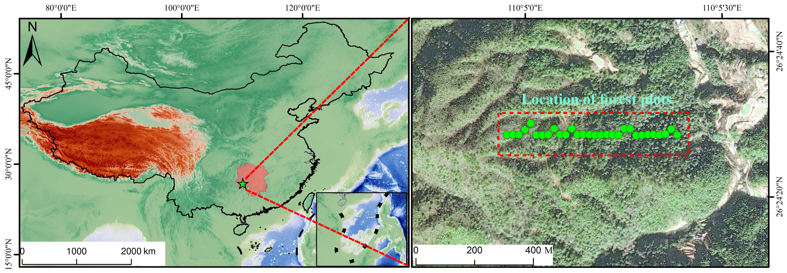 Forests 17 01124 g001 Forests 17 01124 g001