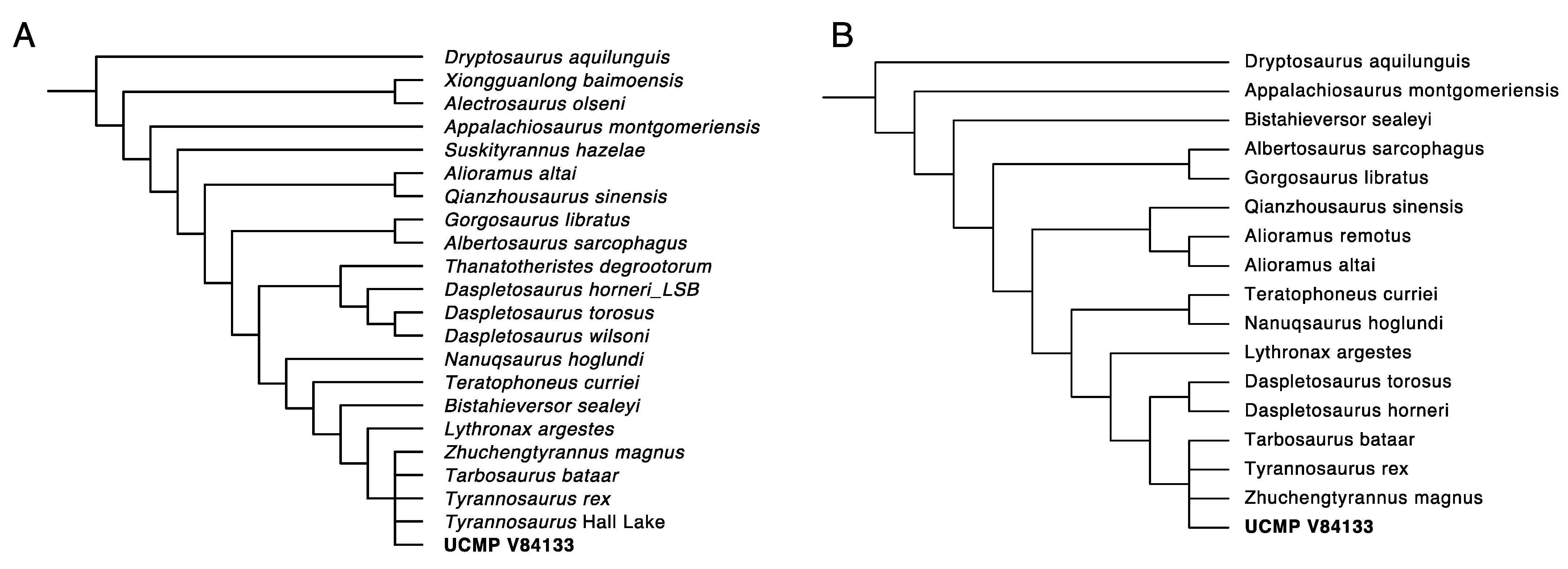 Fossstud 02 00001 g031 Fossstud 02 00001 g031