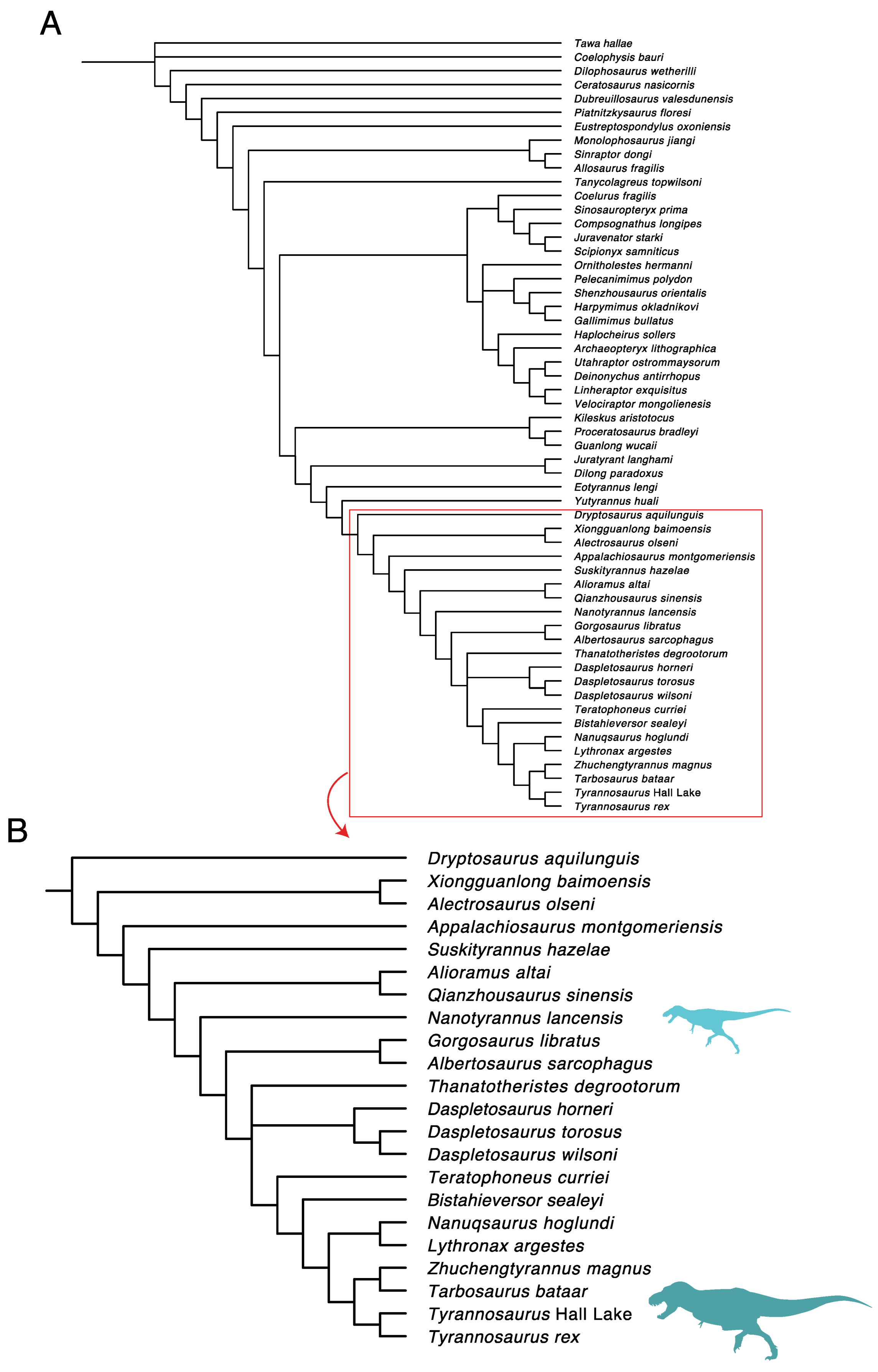 Fossstud 02 00001 g032 Fossstud 02 00001 g032