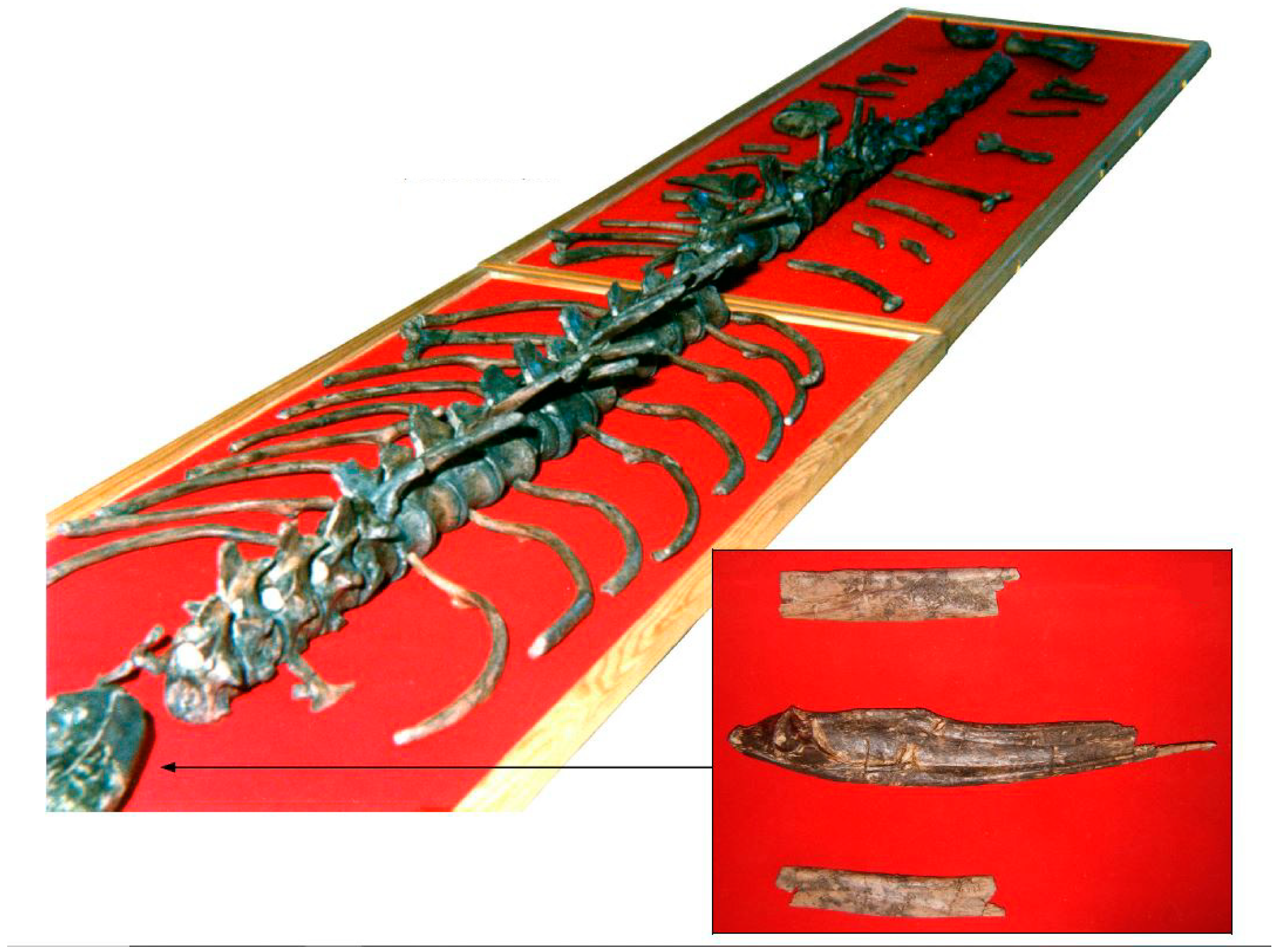 Fossstud 02 00002 g001