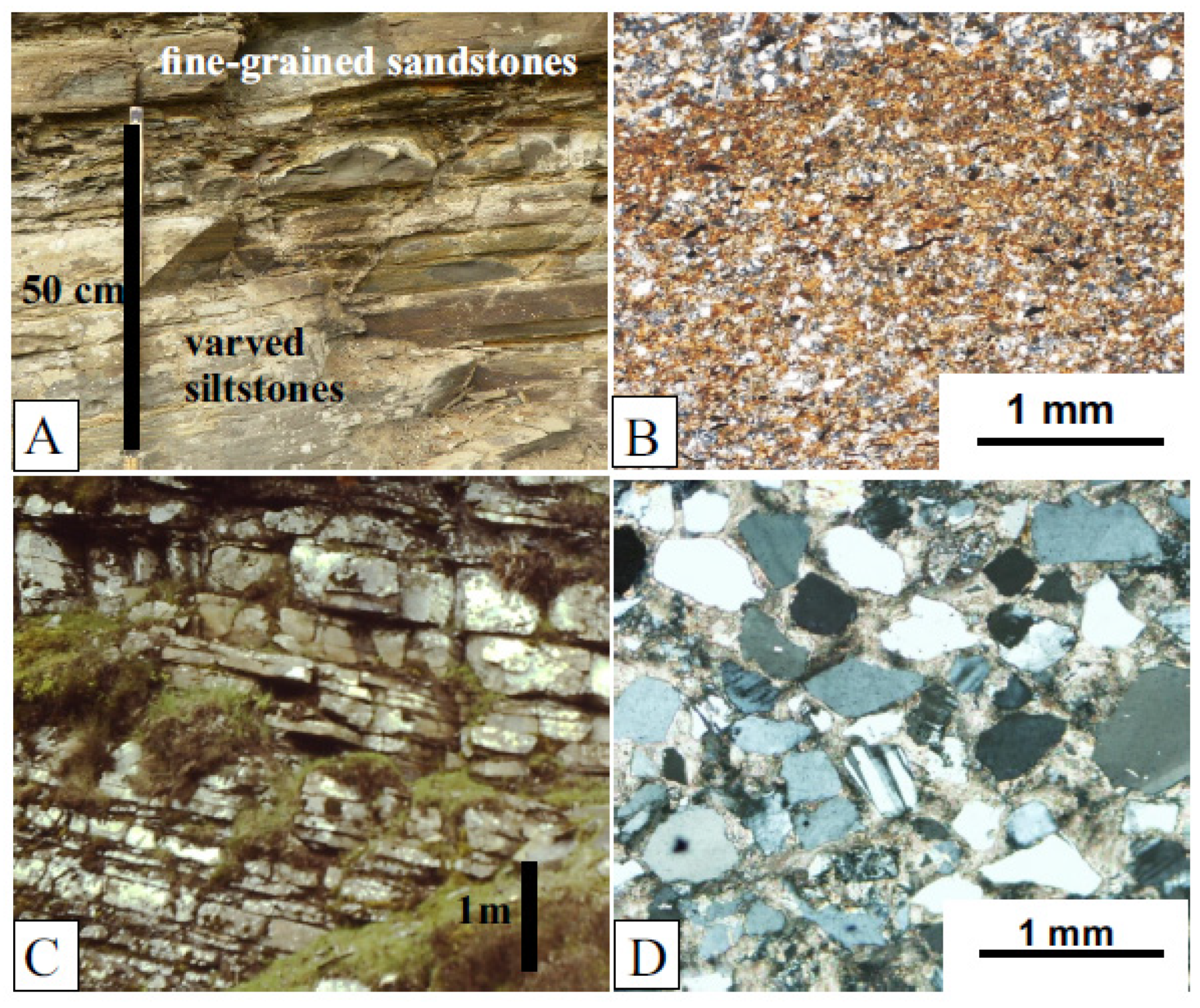 Fossstud 02 00003 g008