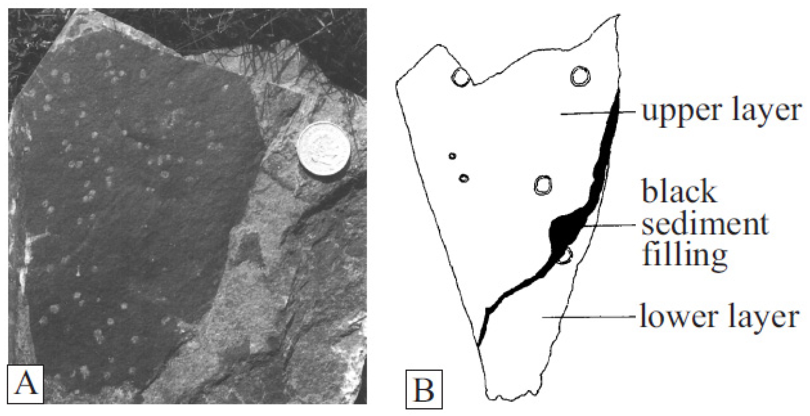 Fossstud 02 00003 g009