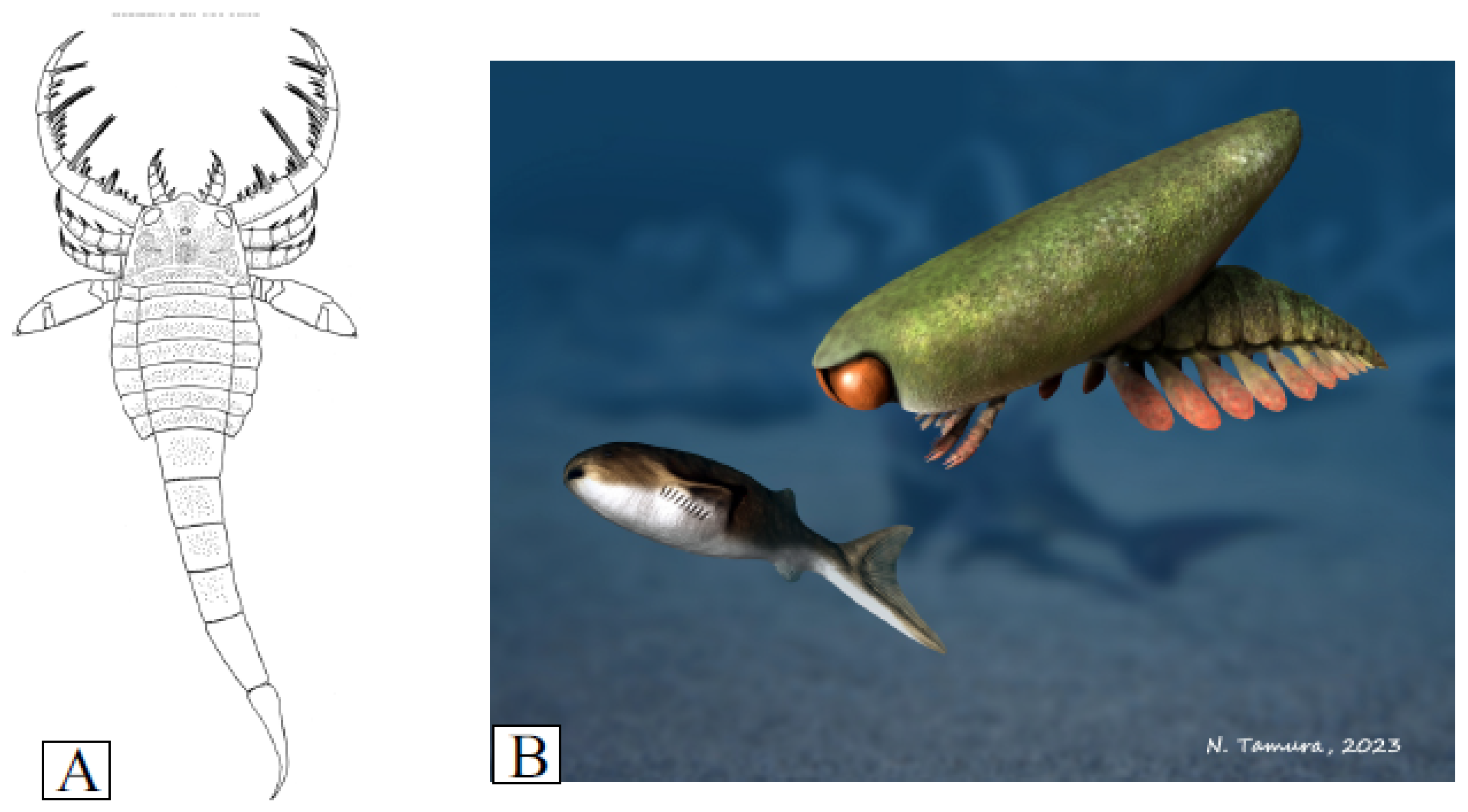 Fossstud 02 00003 g010