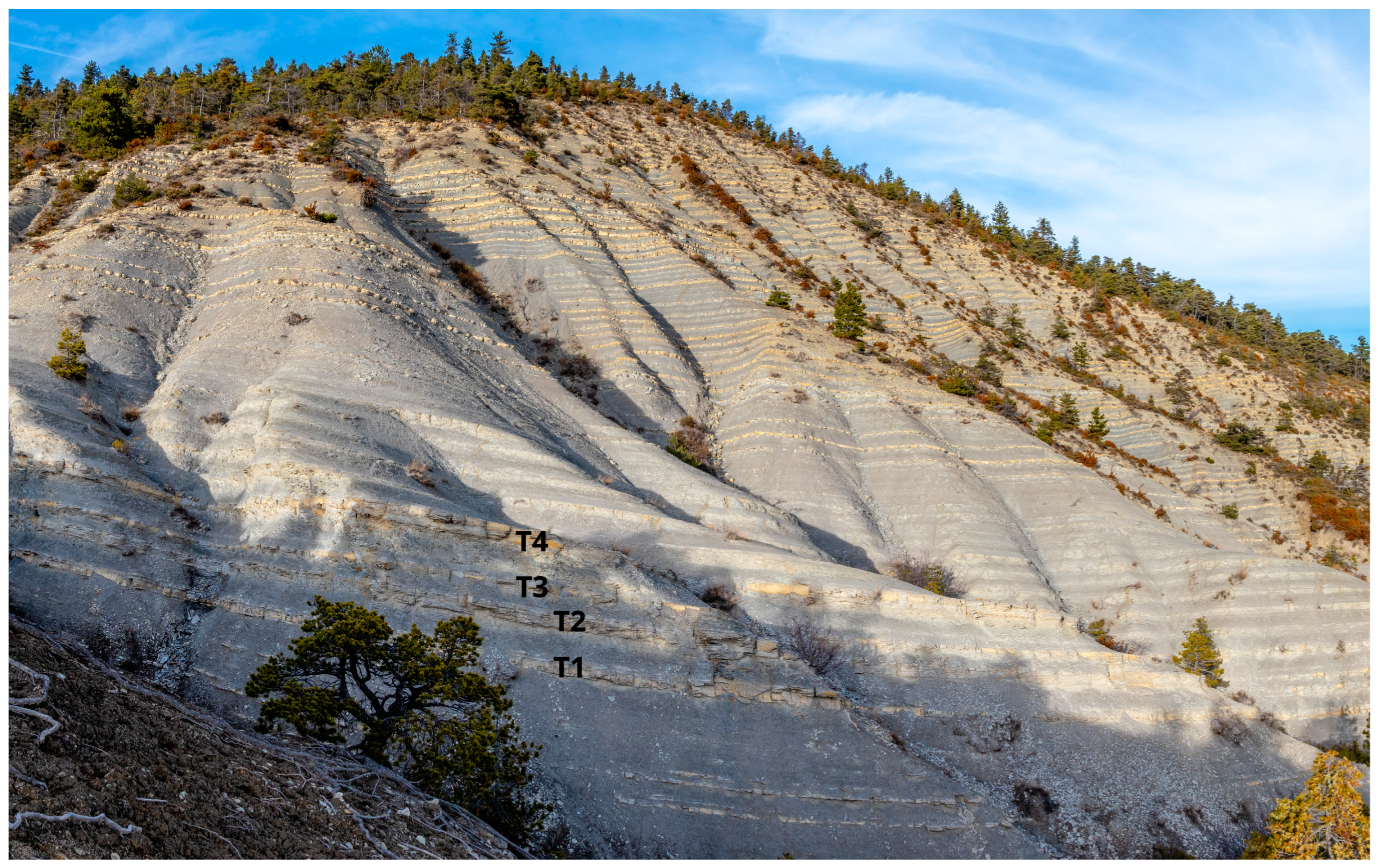 Fossstud 02 00004 g003