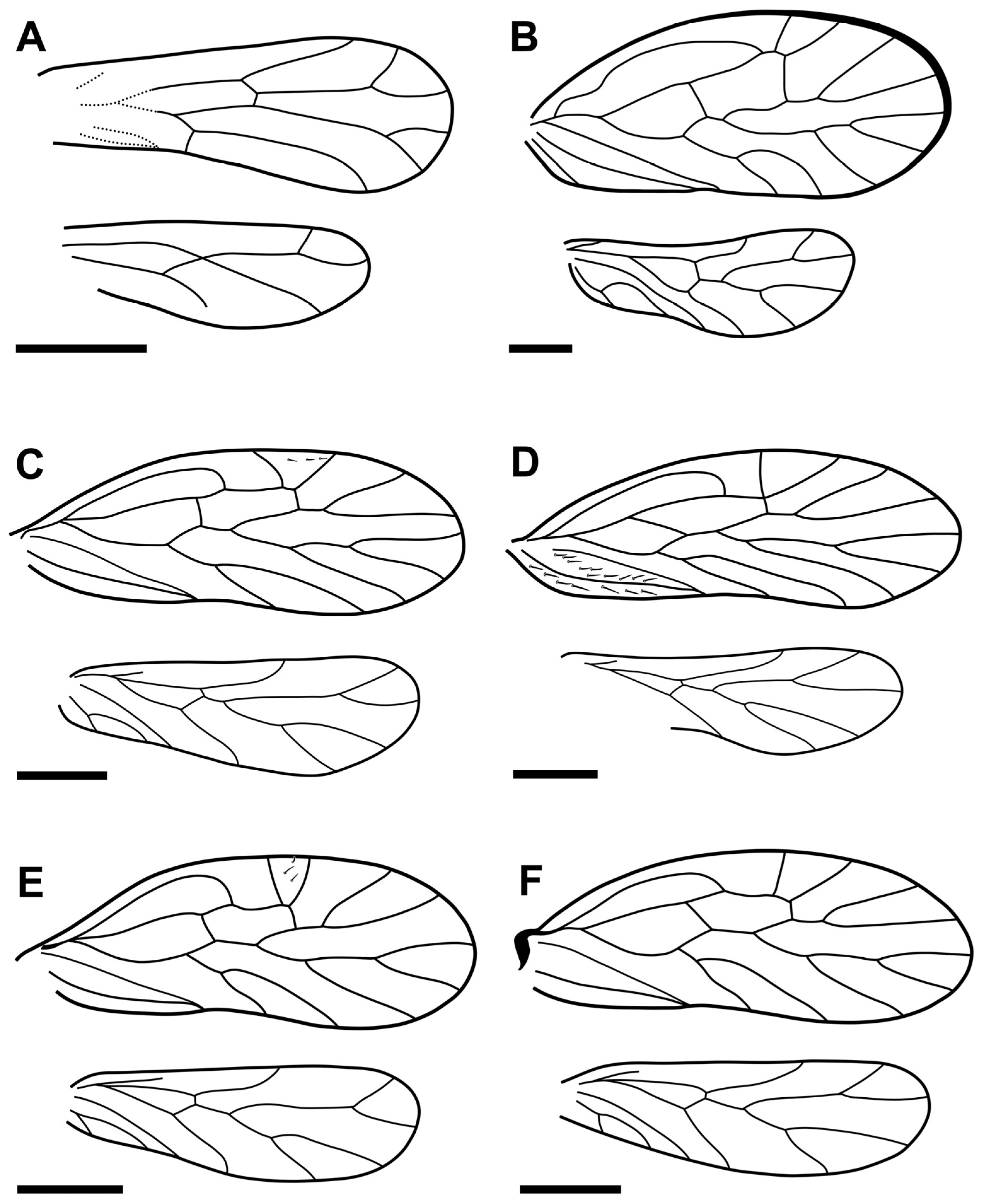 Fossstud 02 00008 g002