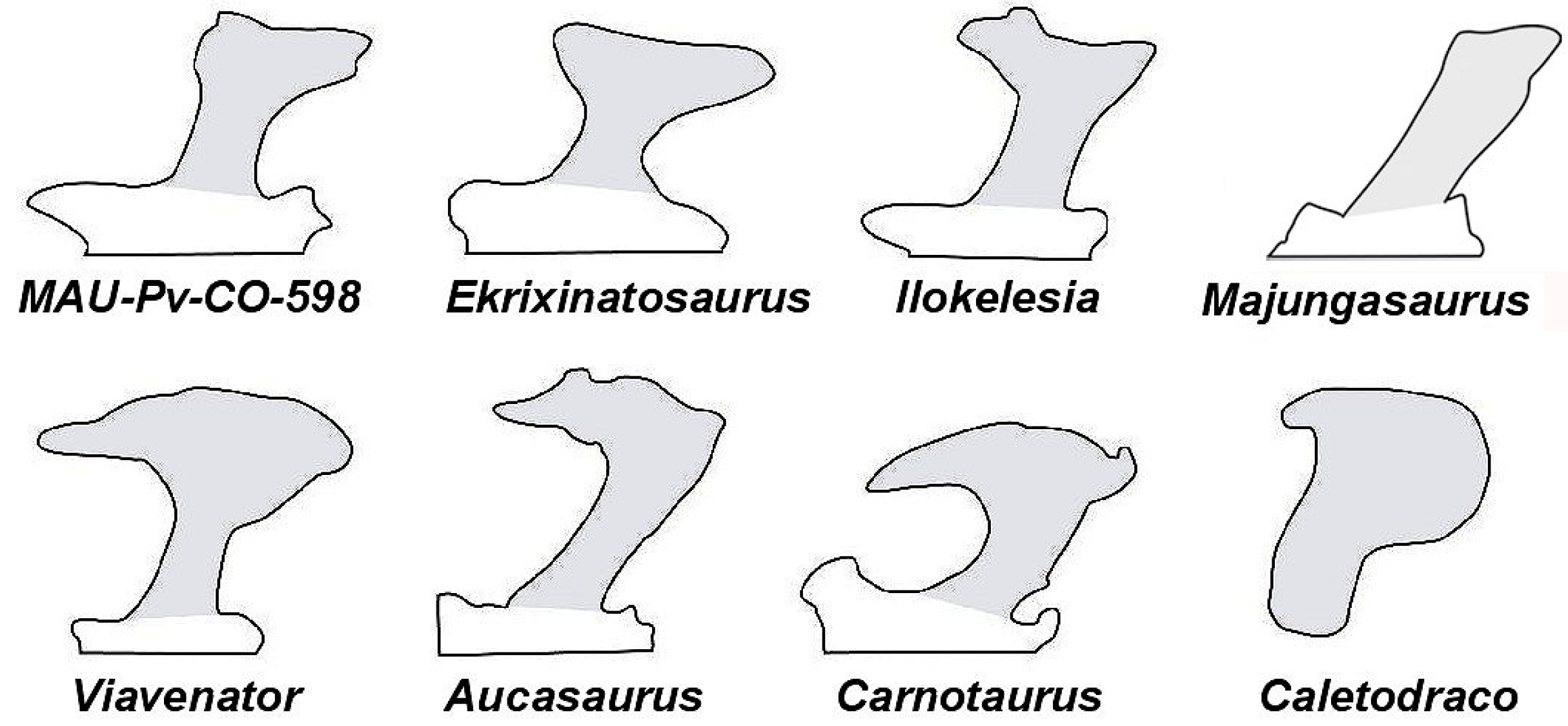 Fossstud 02 00009 g013