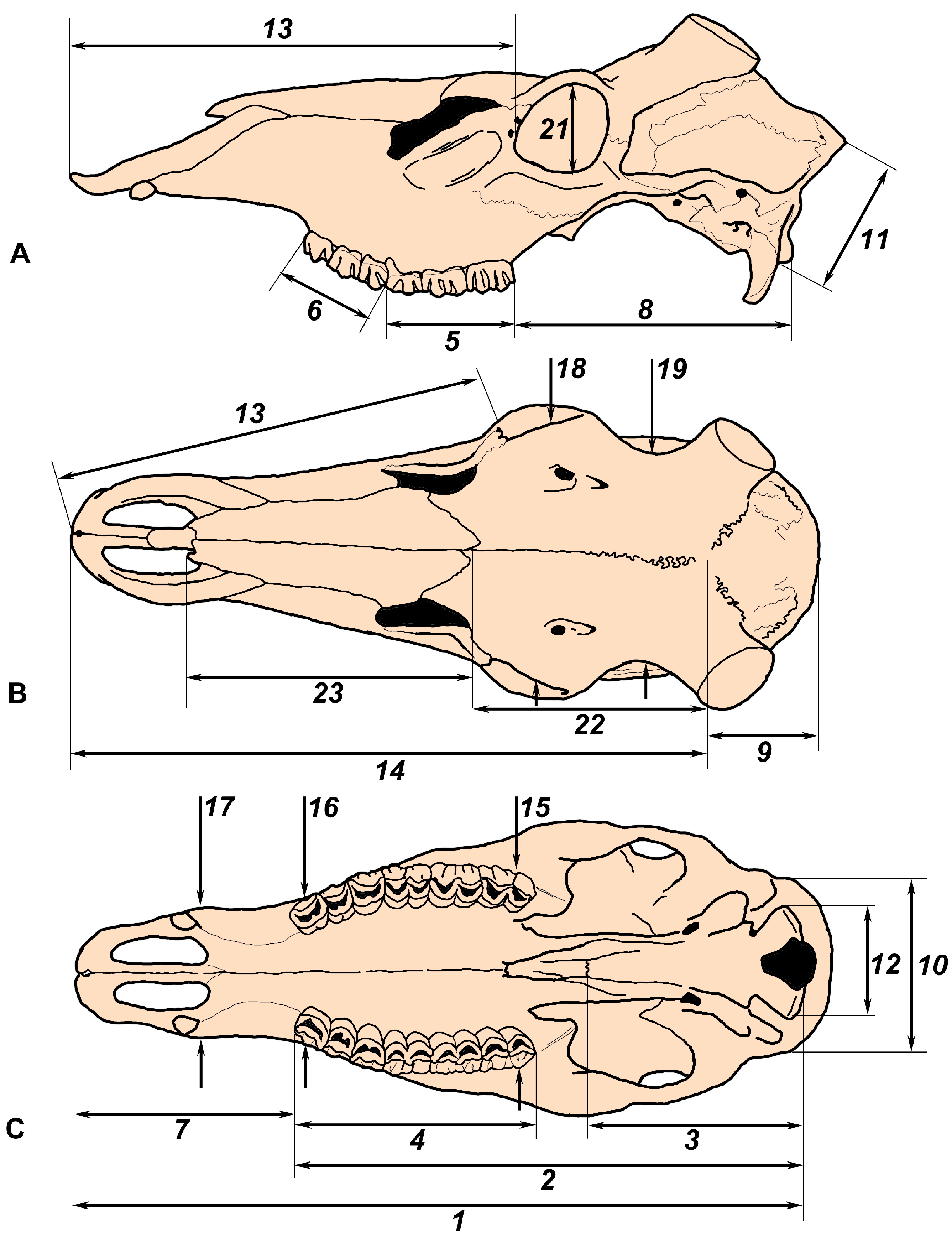 Fossstud 02 00010 g001