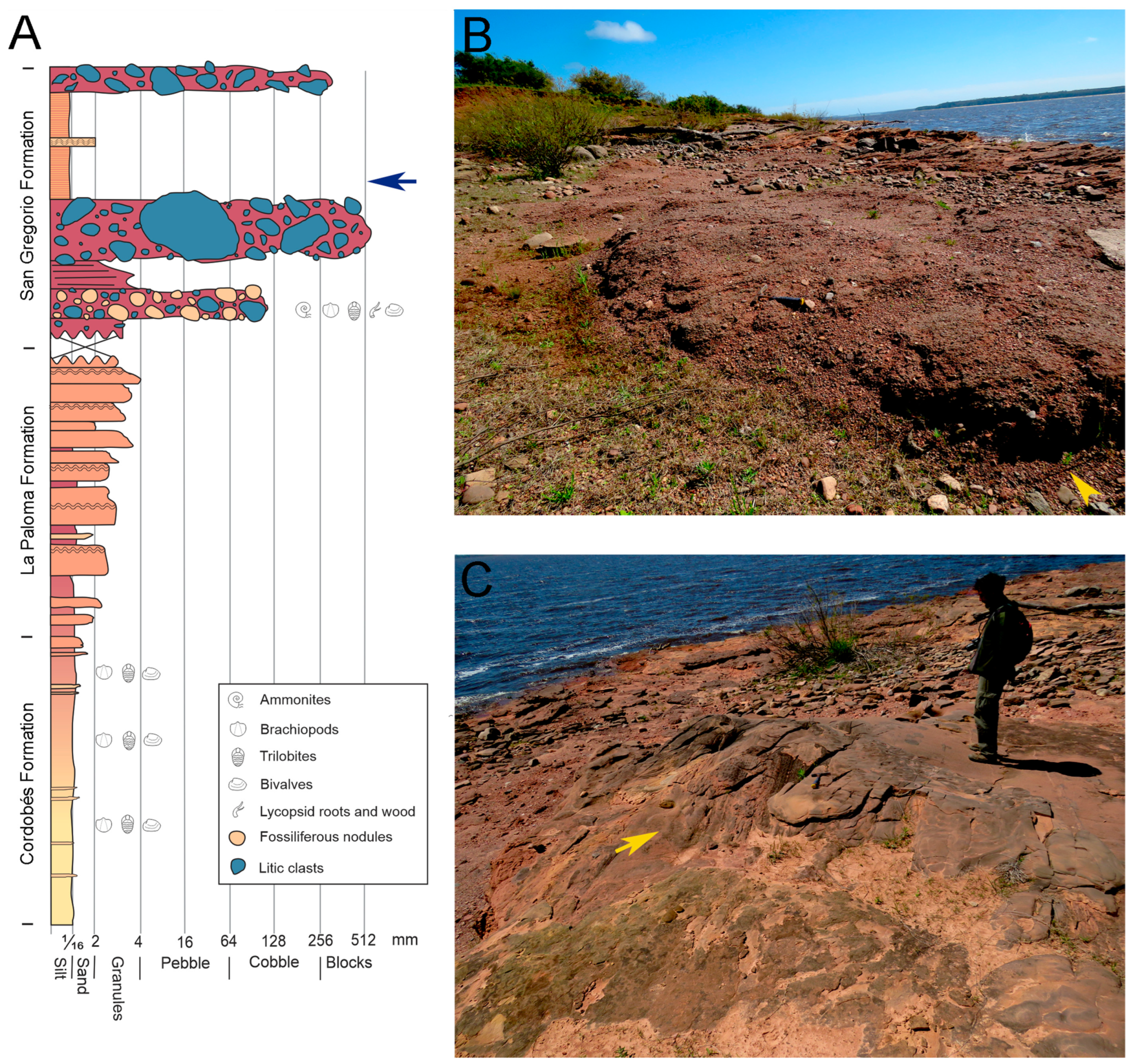 Fossstud 02 00011 g002