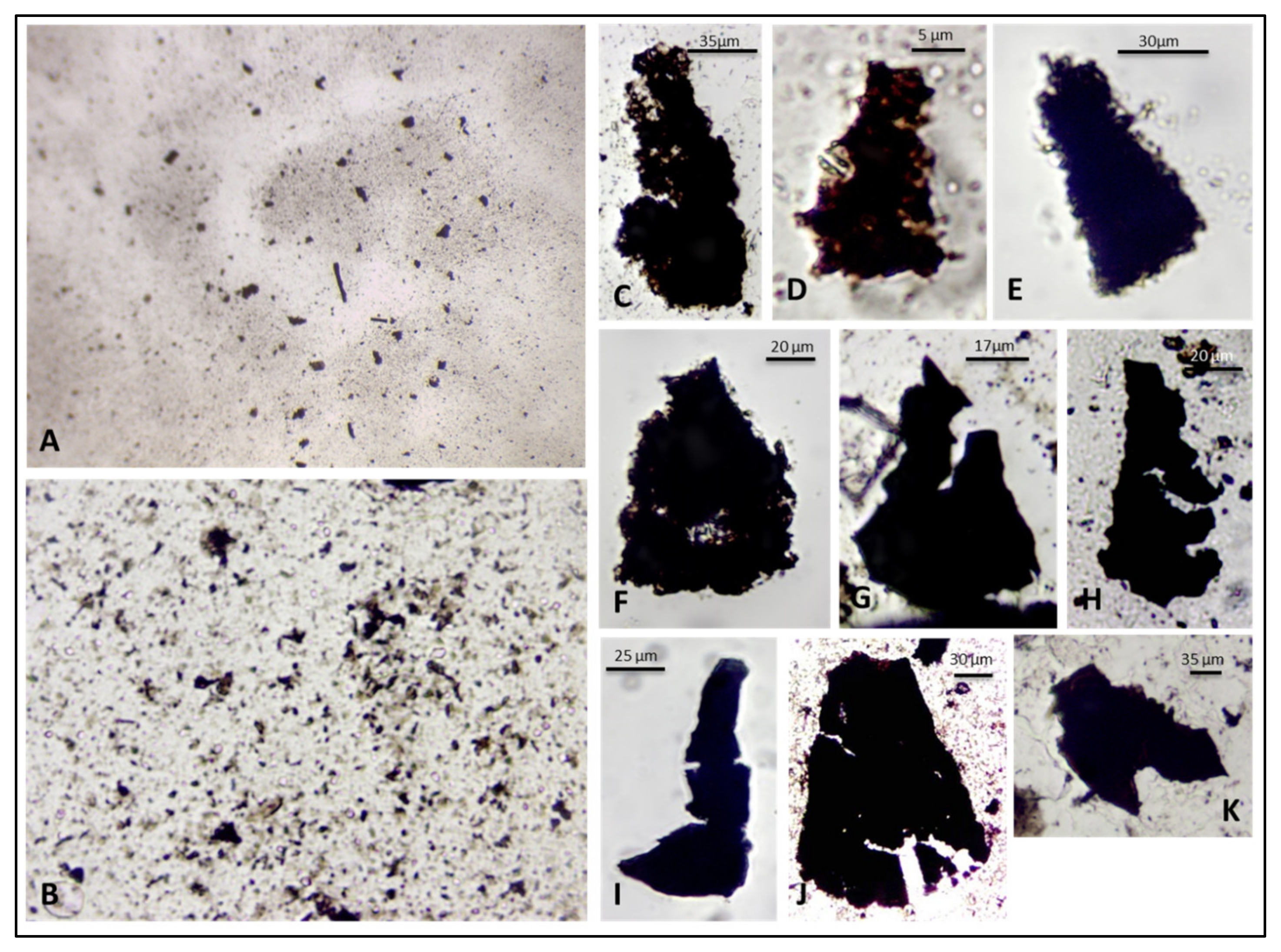 Fossstud 02 00013 g005