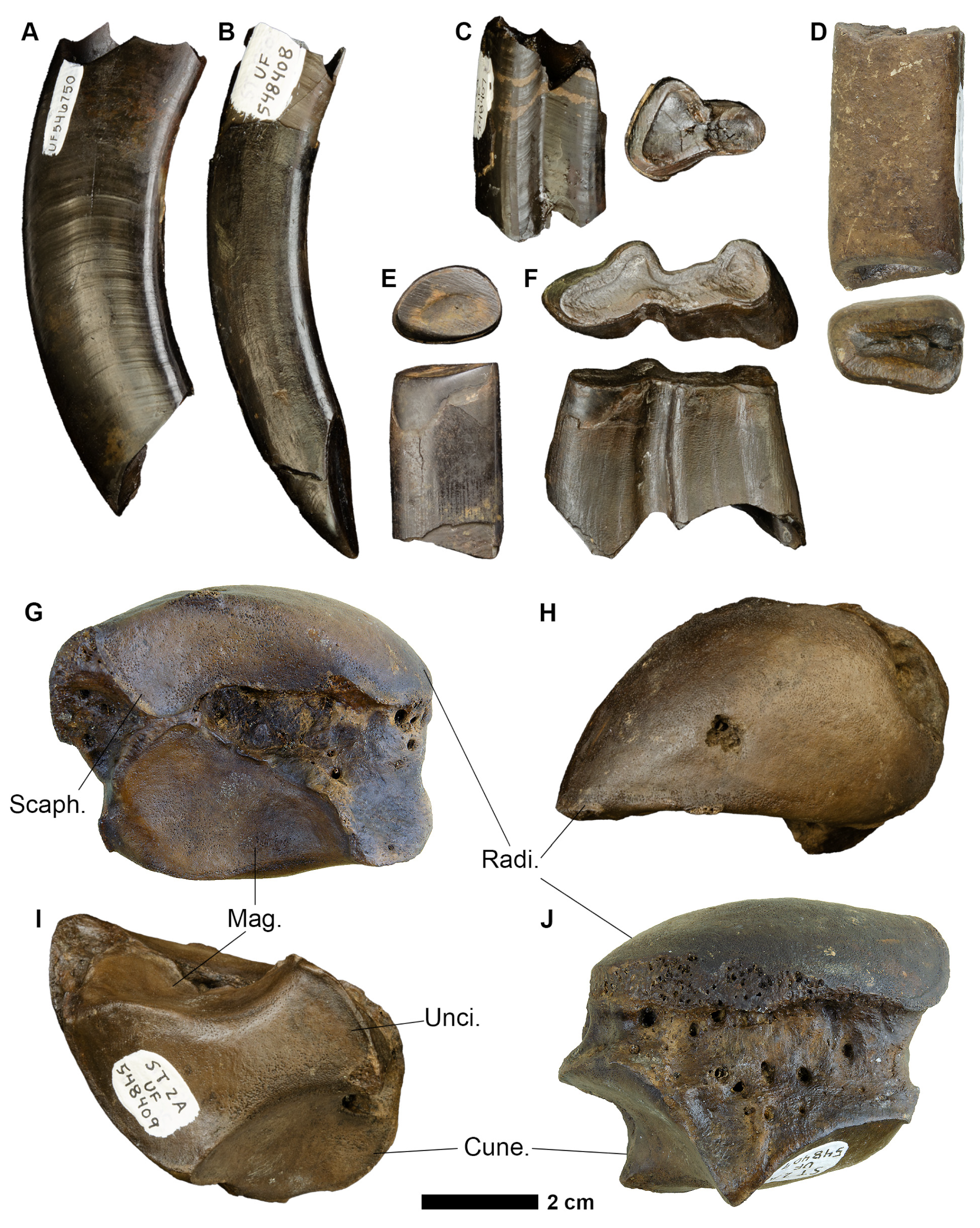 Fossstud 02 00014 g007