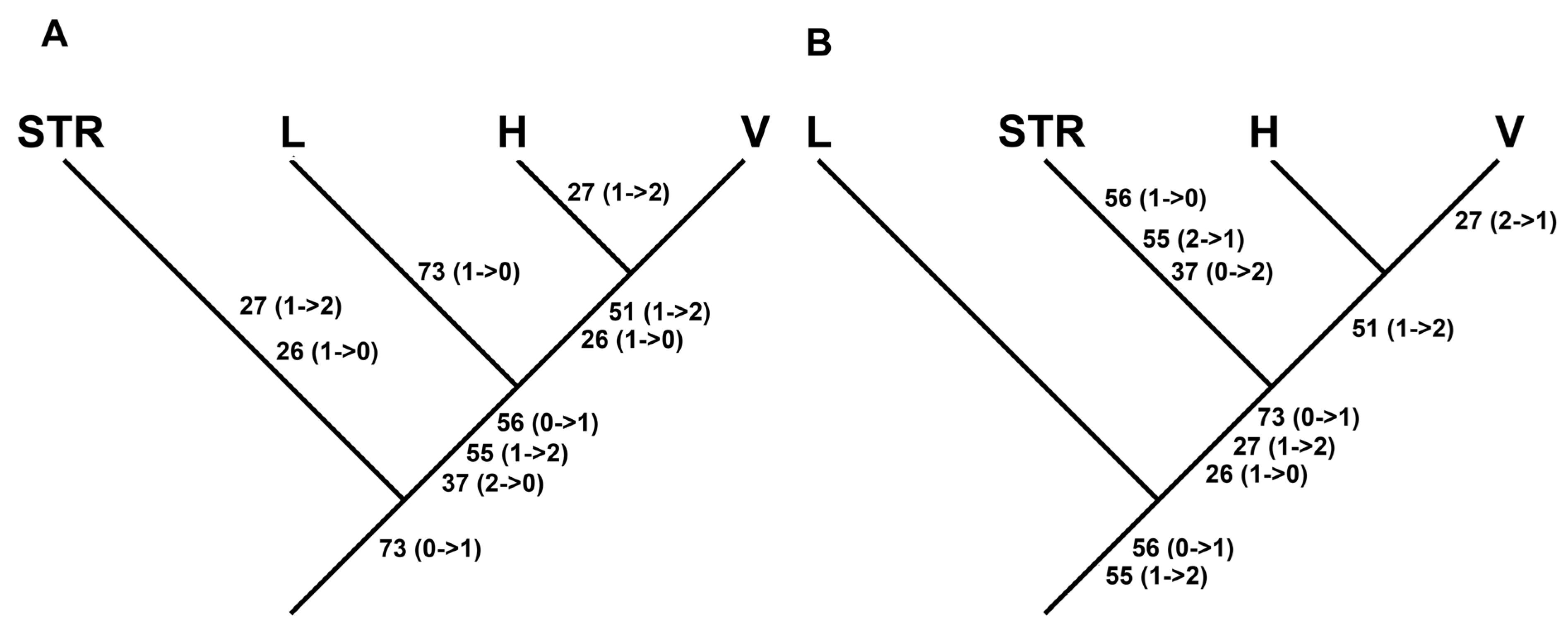 Fossstud 02 00014 g011