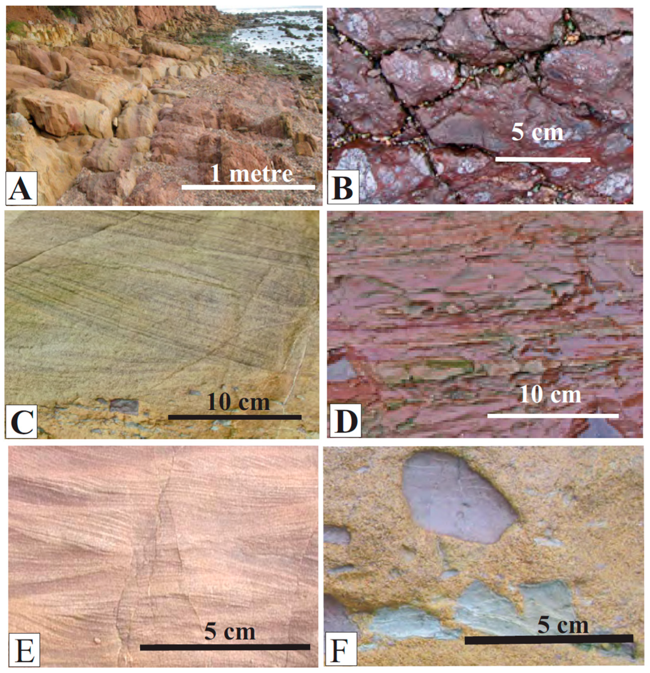 Fossstud 03 00006 g004