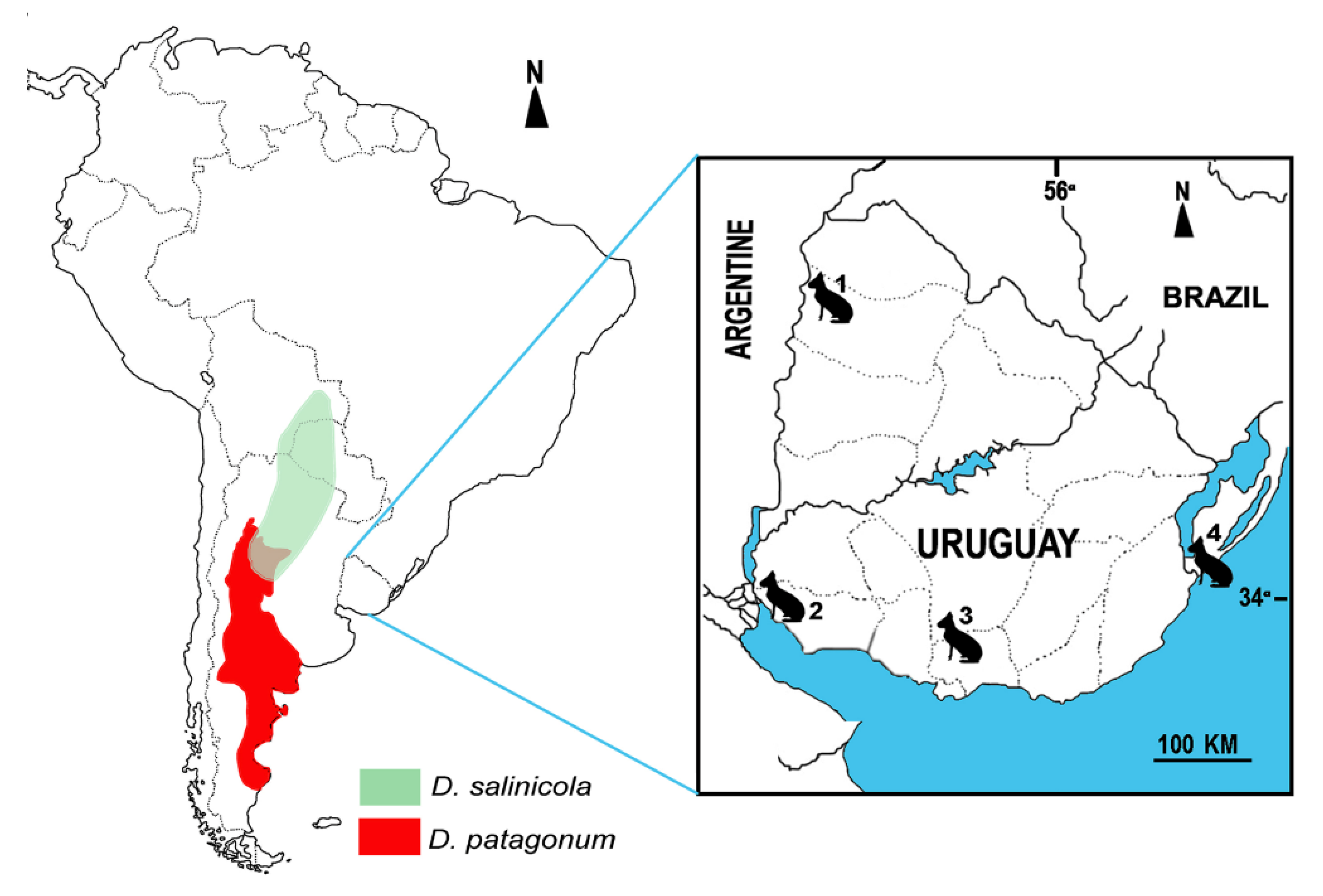 Fossstud 03 00007 g001