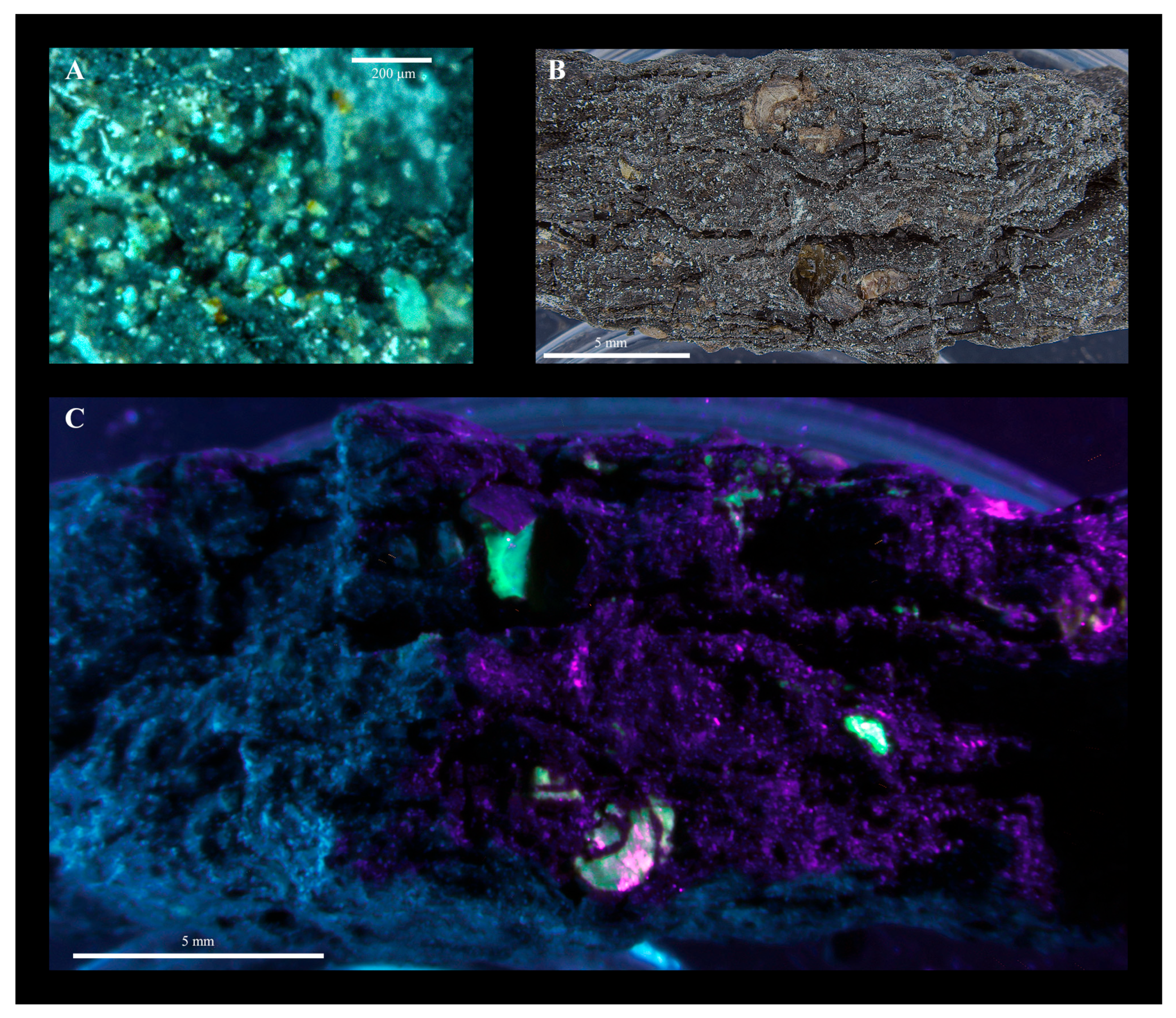 Fossstud 03 00011 g001