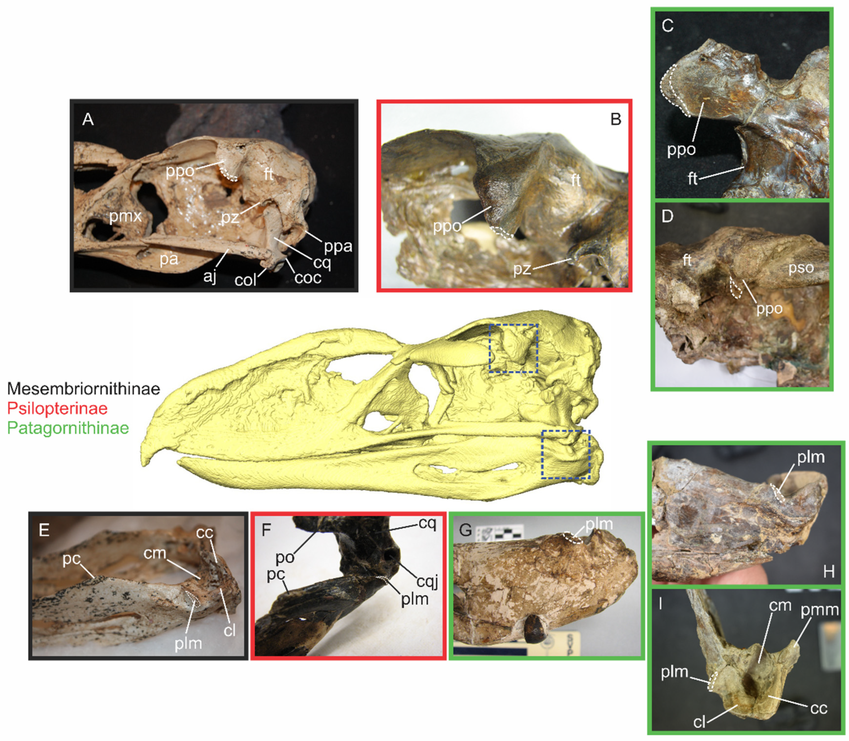 Fossstud 03 00012 g004