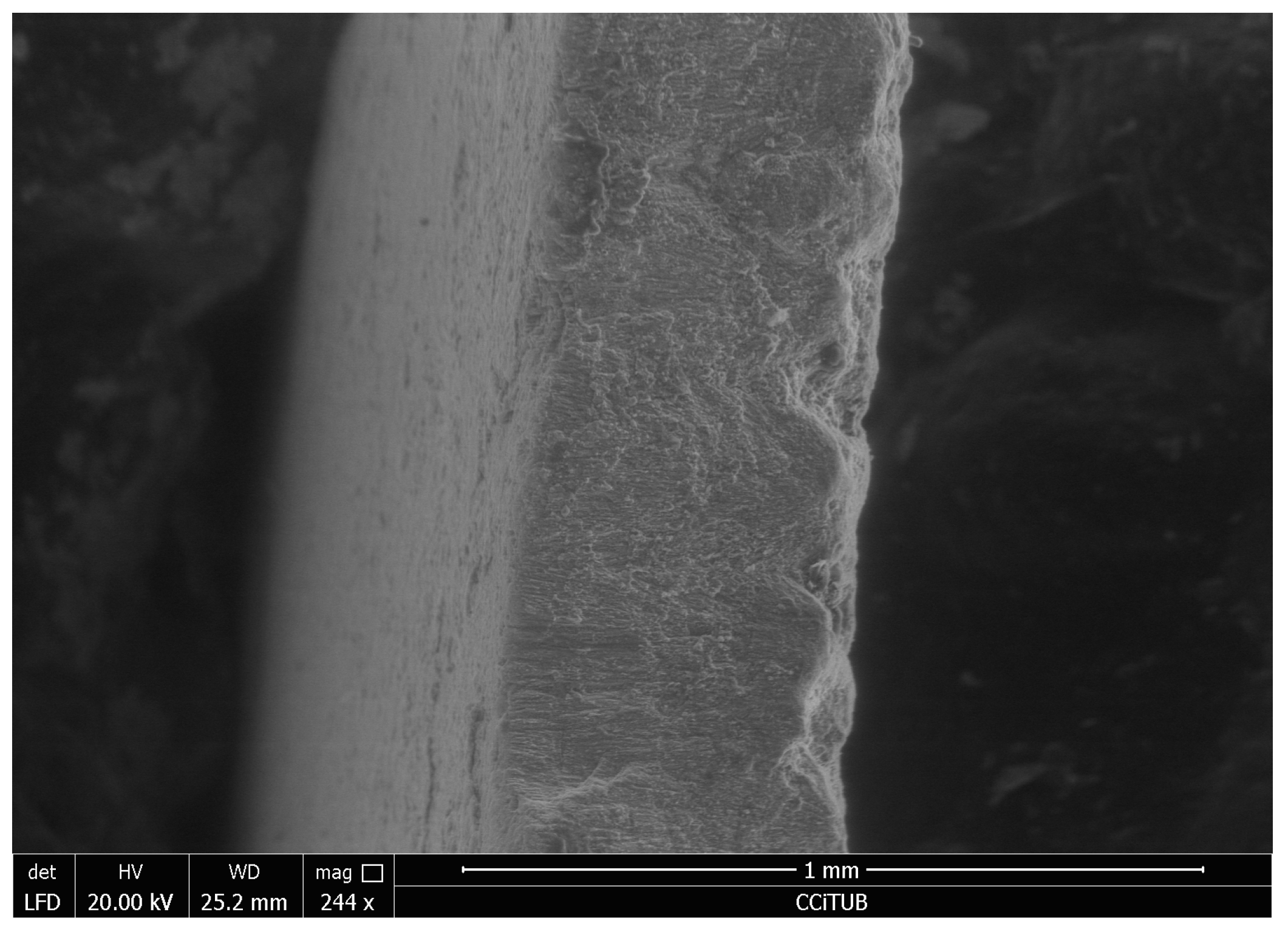 Fossstud 03 00013 g008