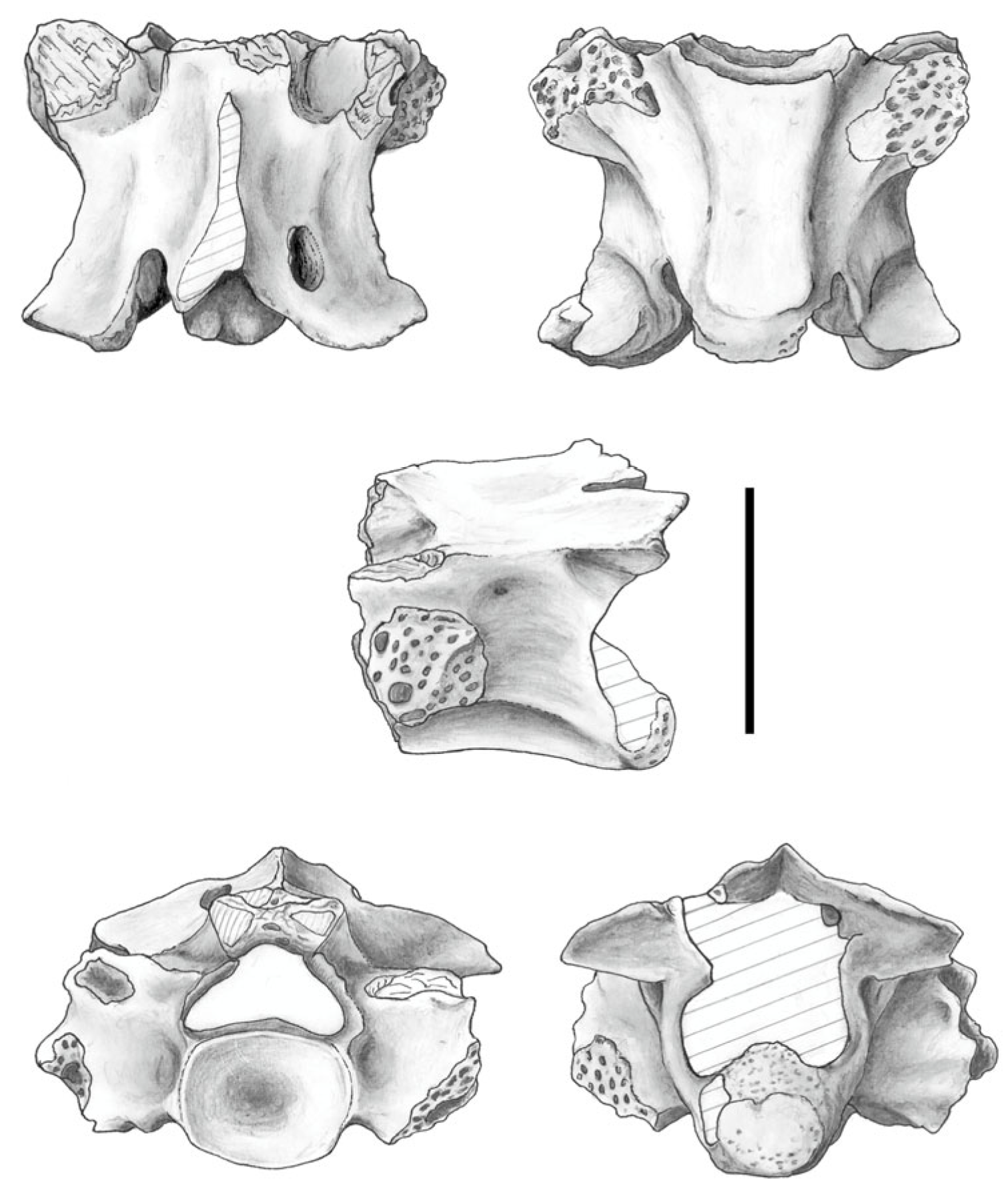 Fossstud 03 00013 g009