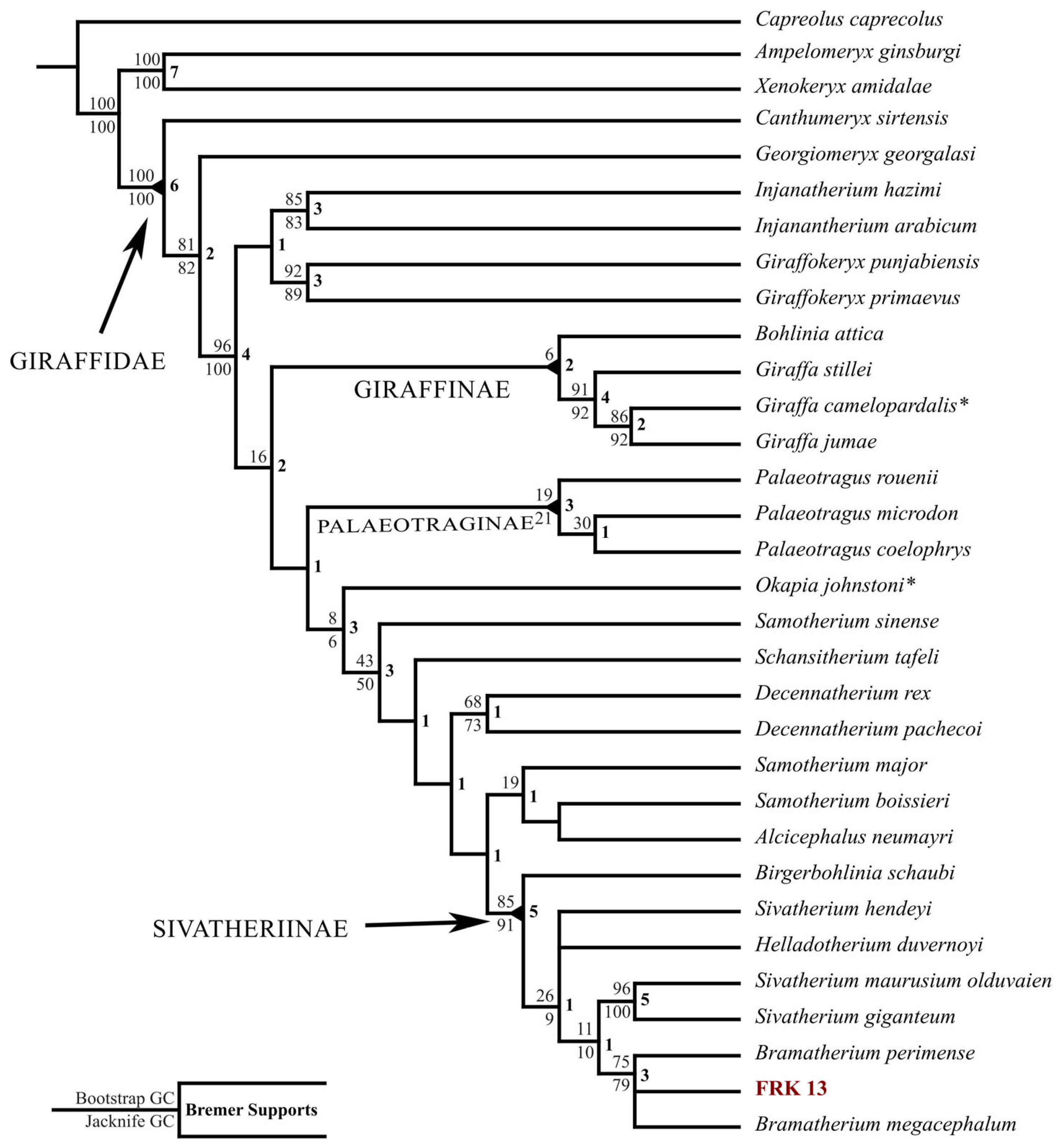 Fossstud 03 00017 g004 Fossstud 03 00017 g004