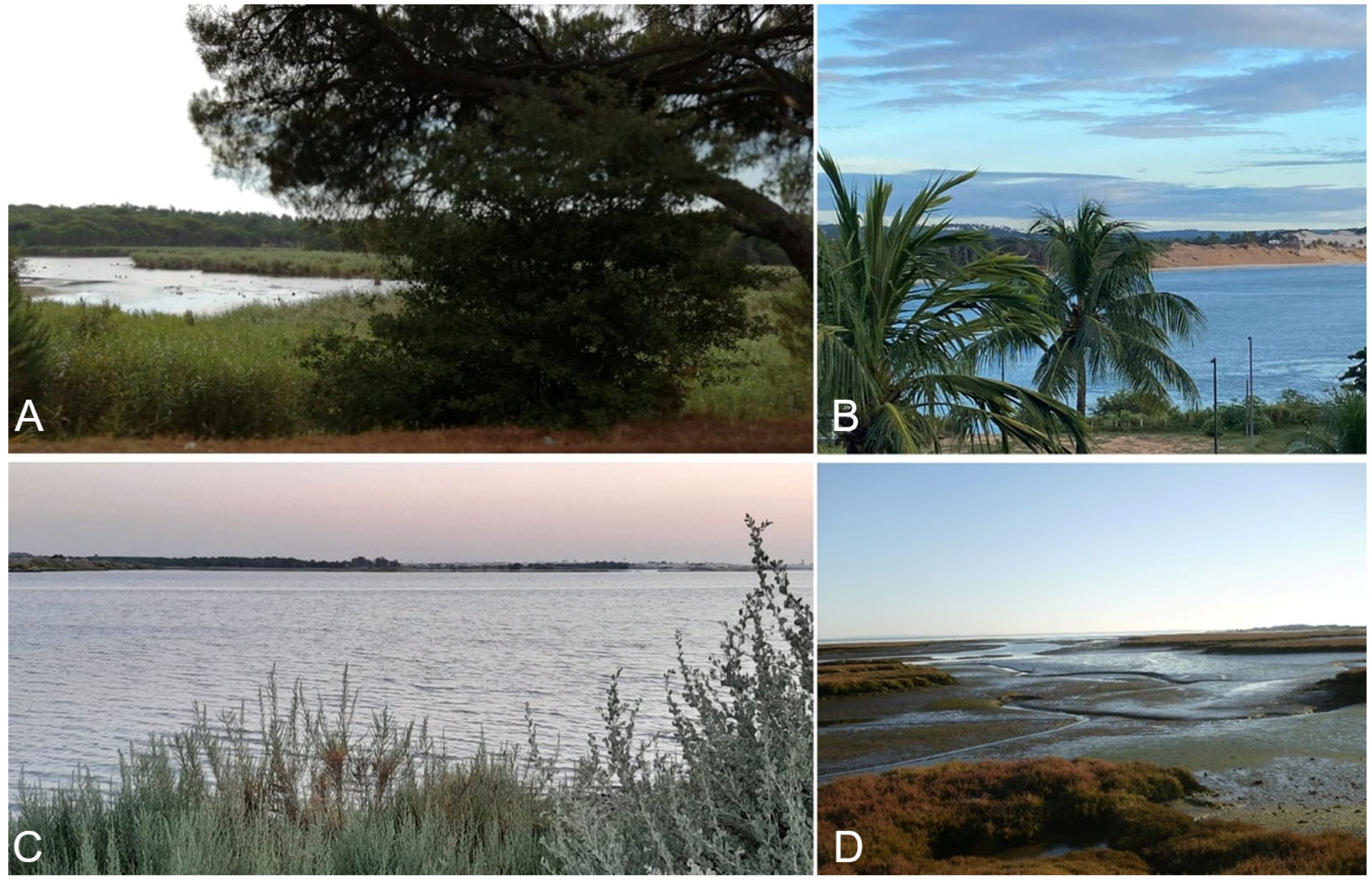 Fossstud 03 00018 g005 Fossstud 03 00018 g005