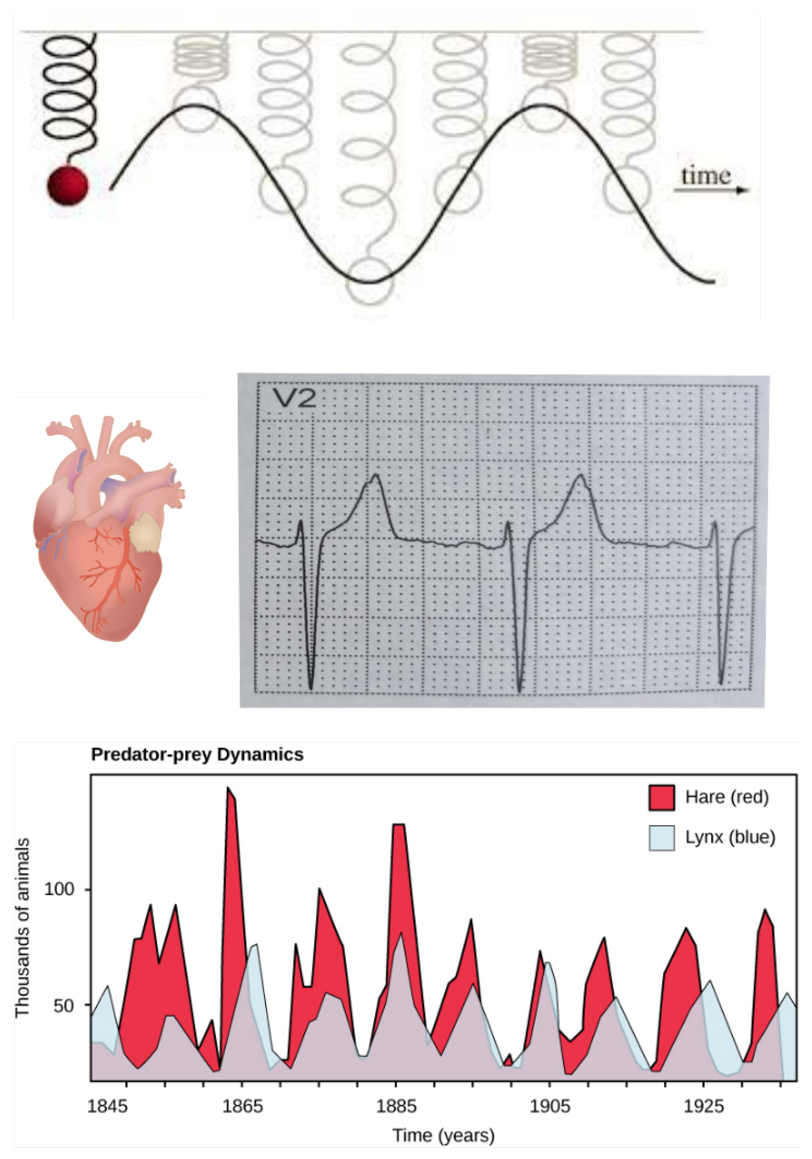 Foundations 02 00022 g002 550