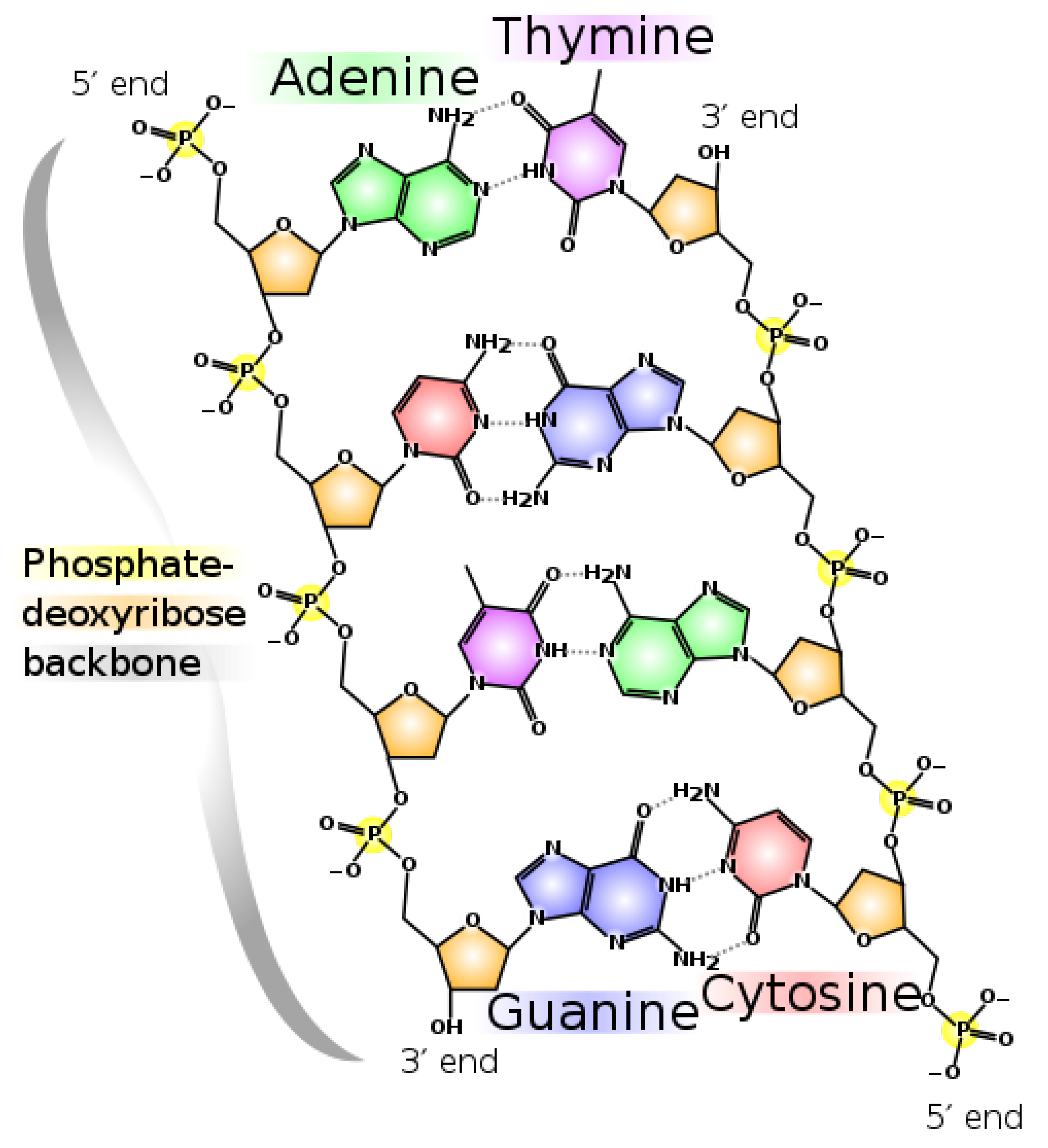 Foundations 02 00022 g011 550