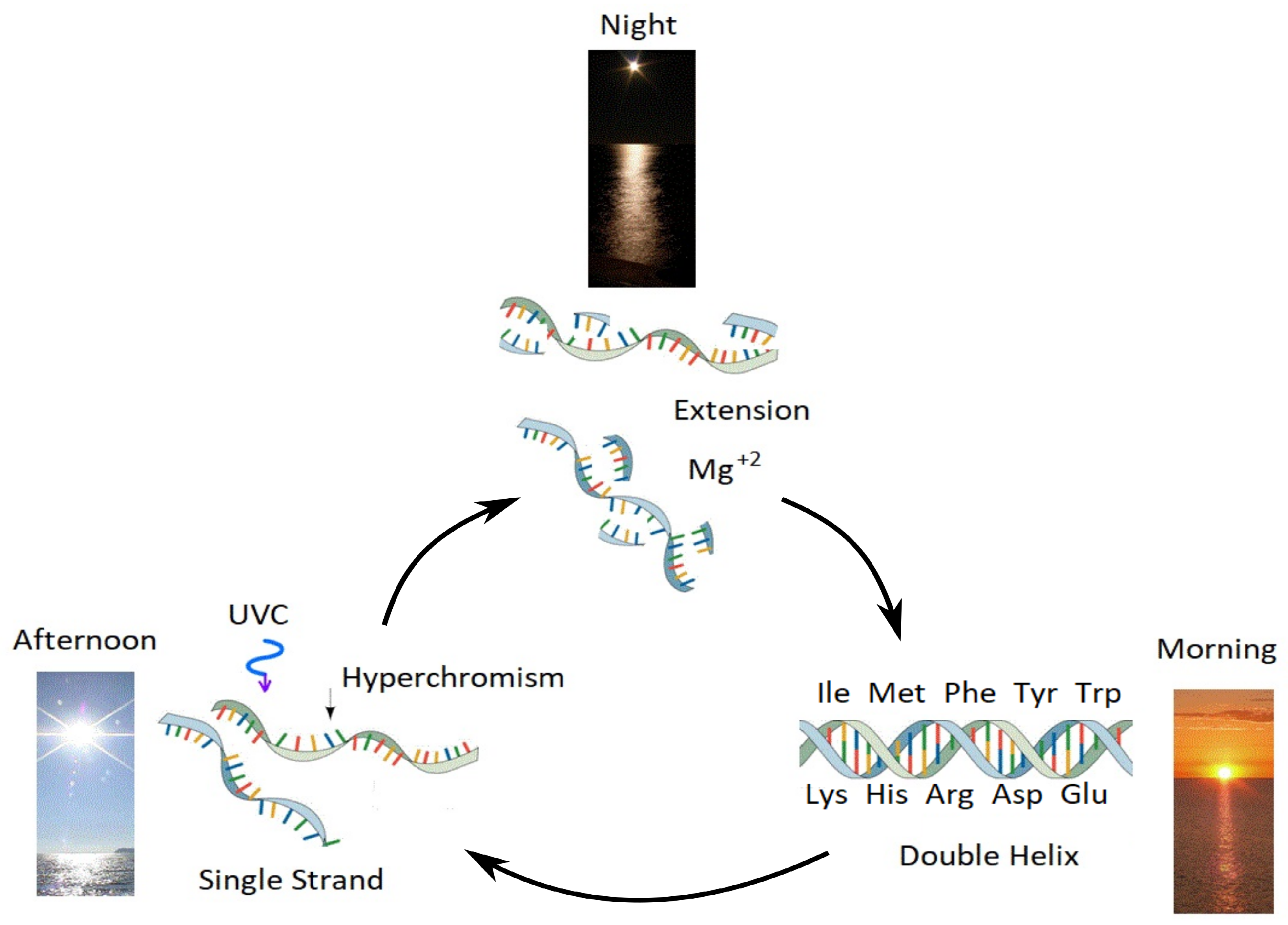 Foundations 02 00022 g012 550