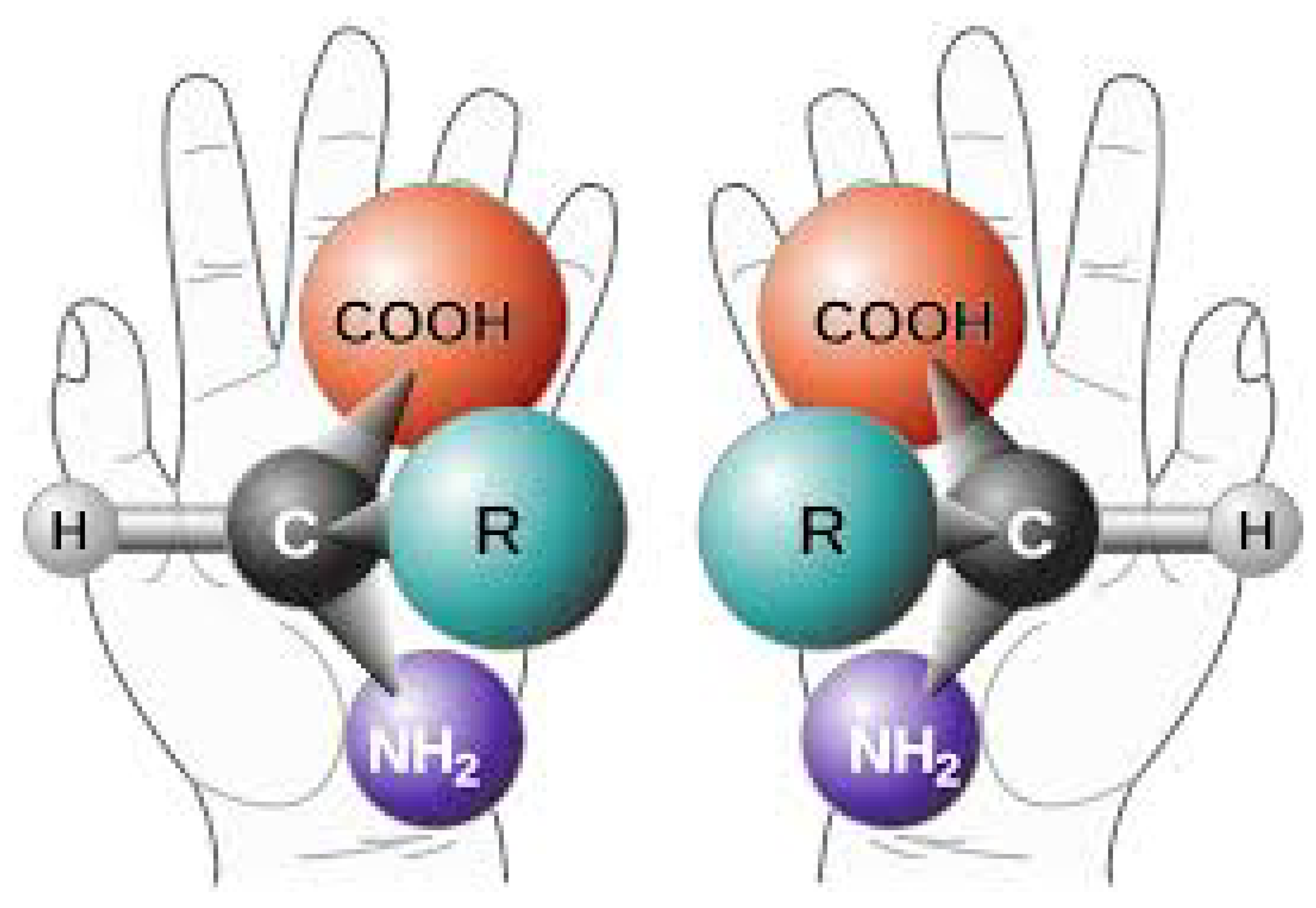 Foundations 02 00022 g013 550