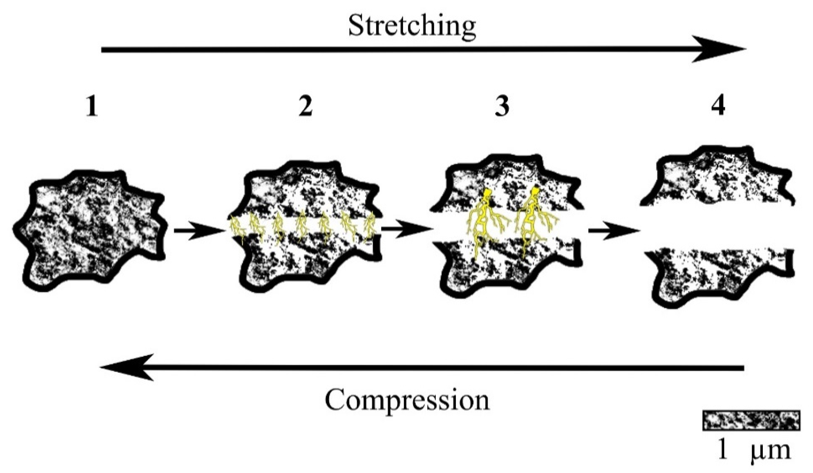 Foundations 02 00038 g011