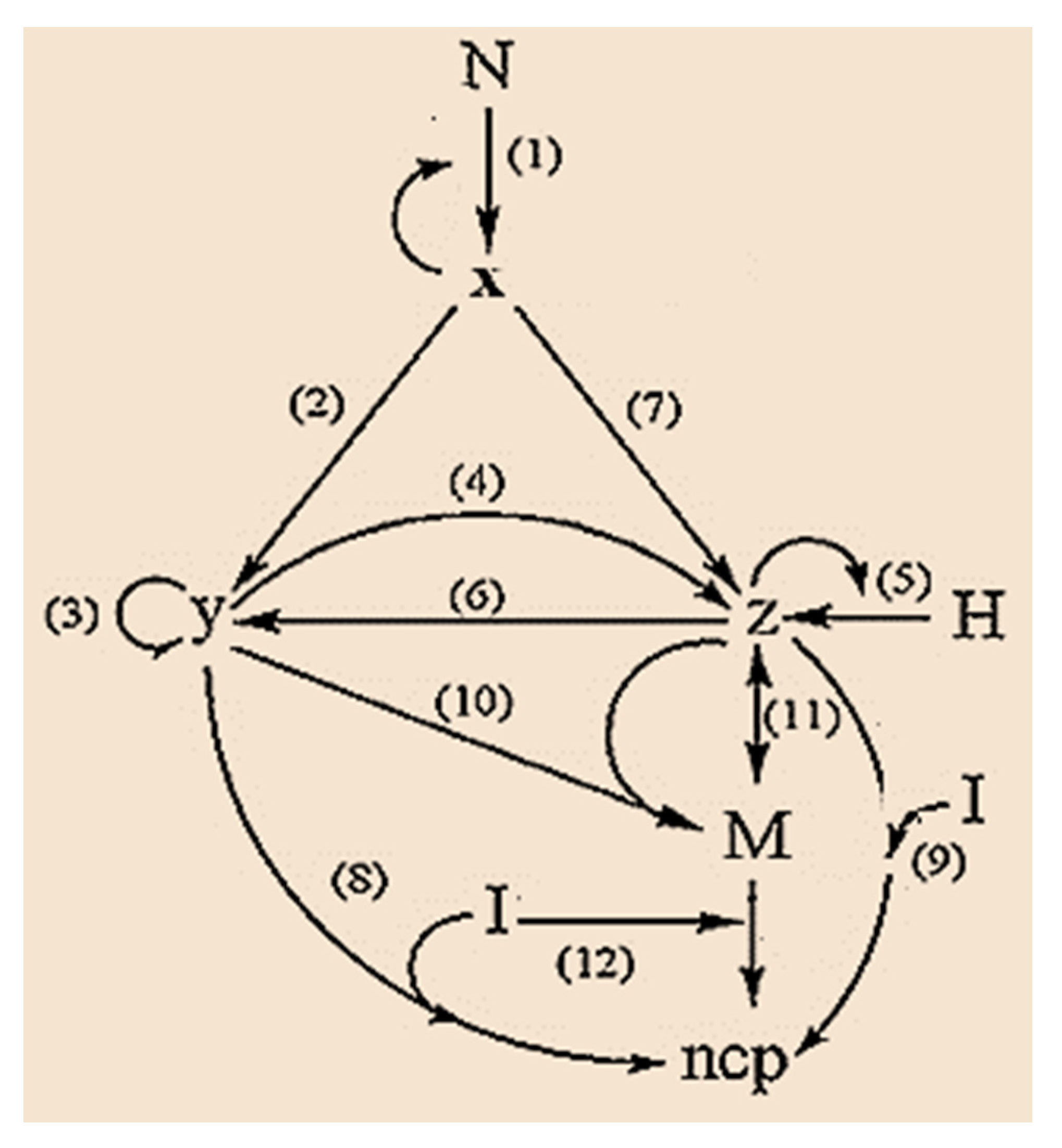 Foundations 02 00045 g003