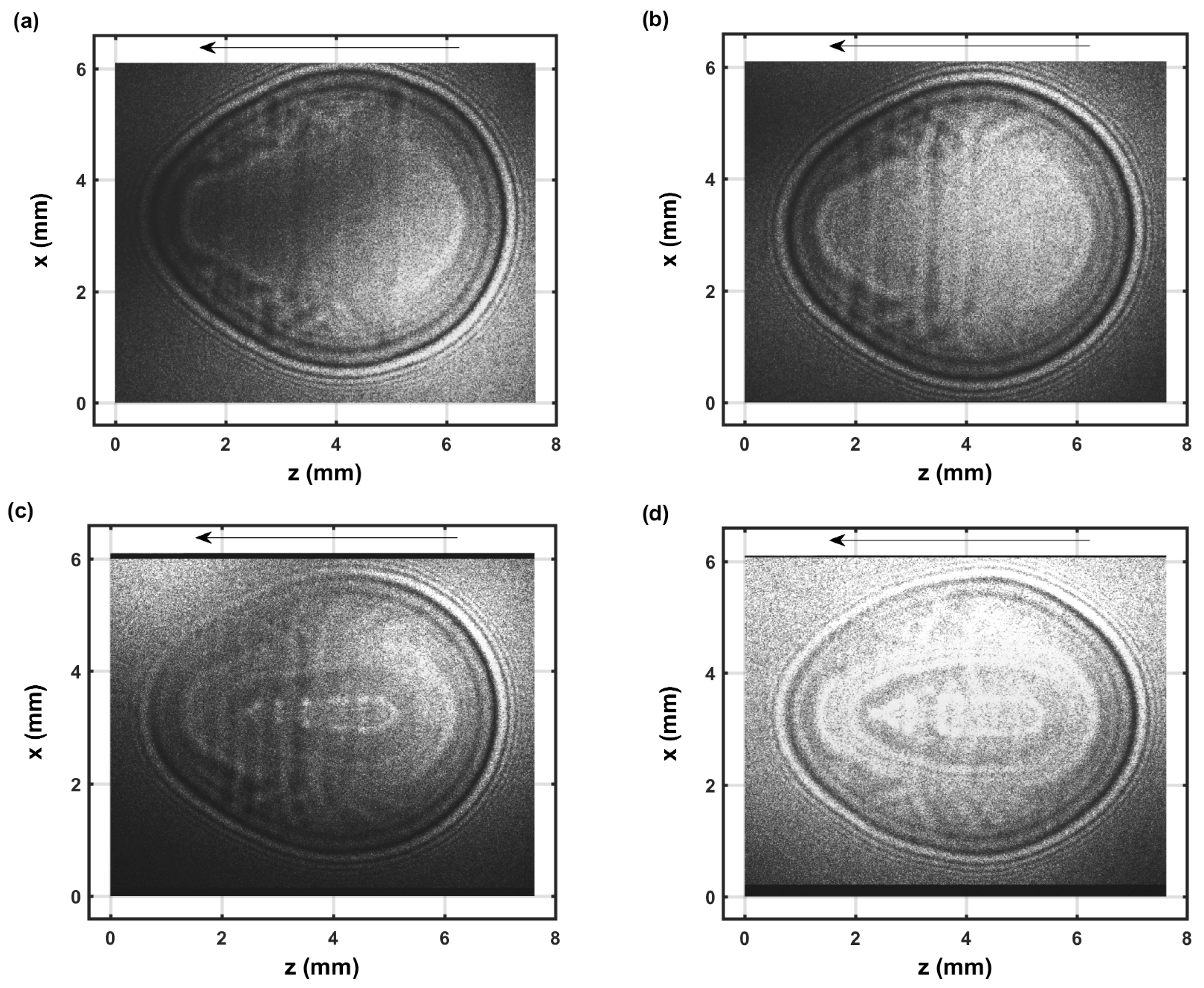 Foundations 02 00064 g005 Foundations 02 00064 g005