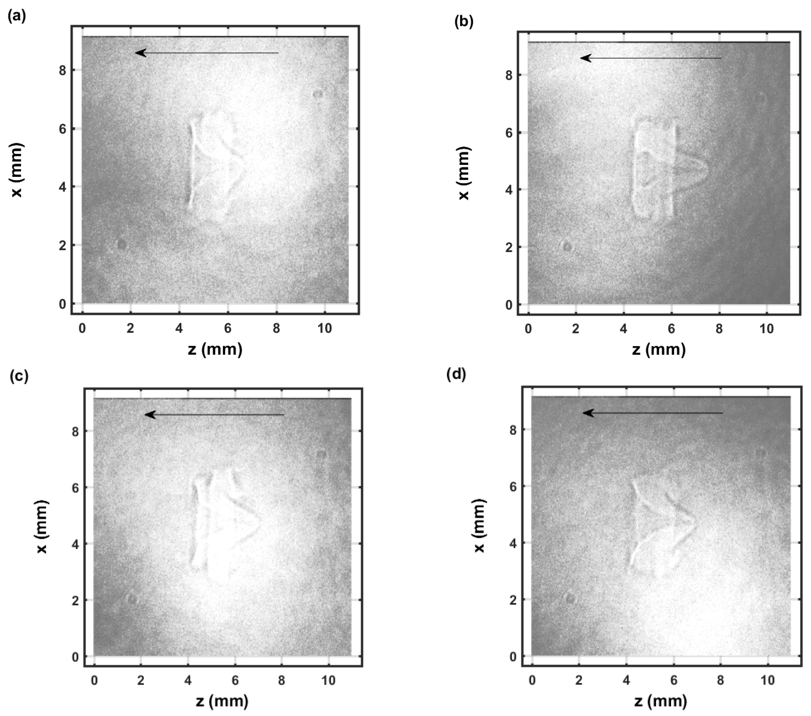 Foundations 02 00064 g006 Foundations 02 00064 g006