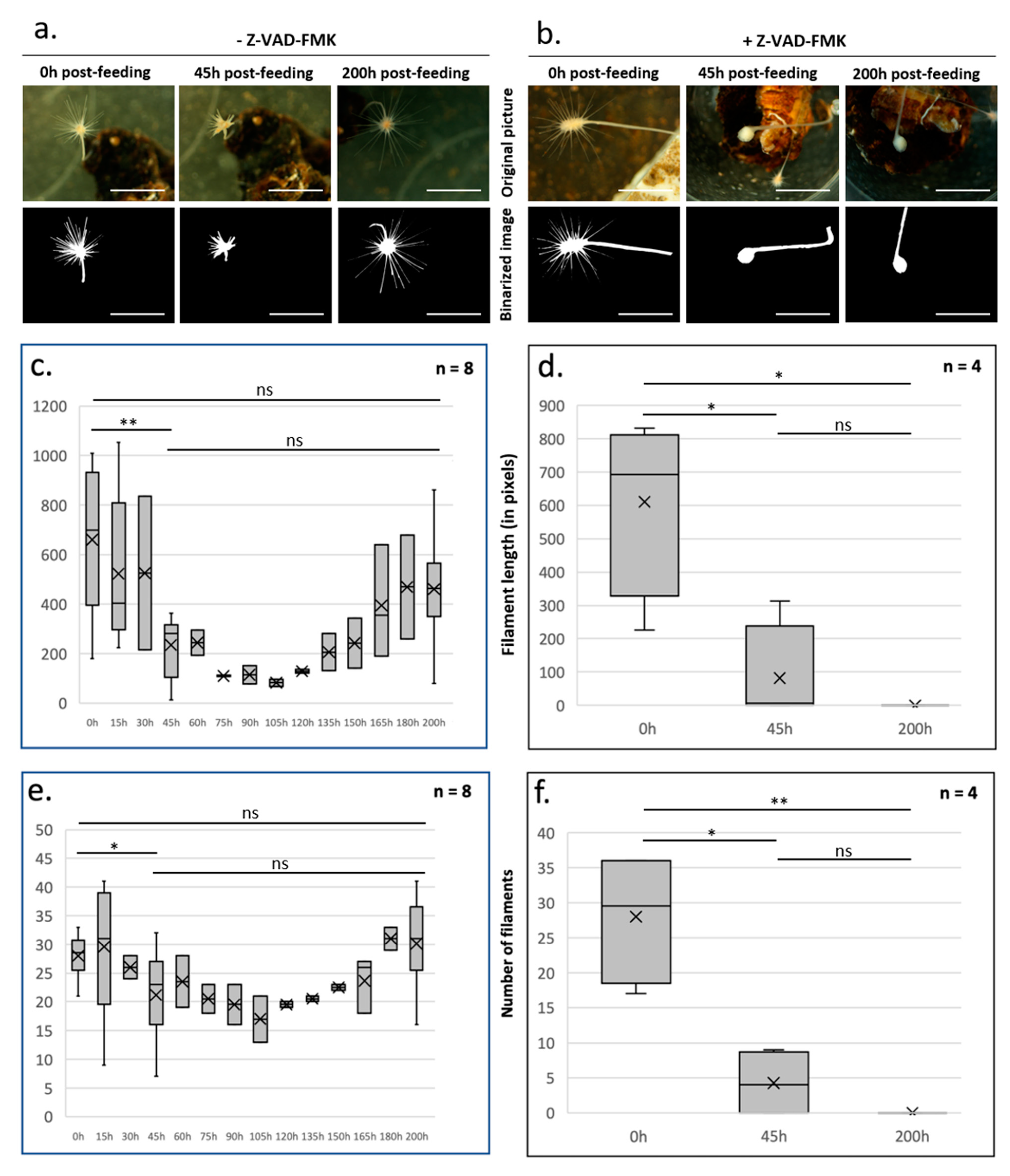 Foundations 03 00018 g001 Foundations 03 00018 g001