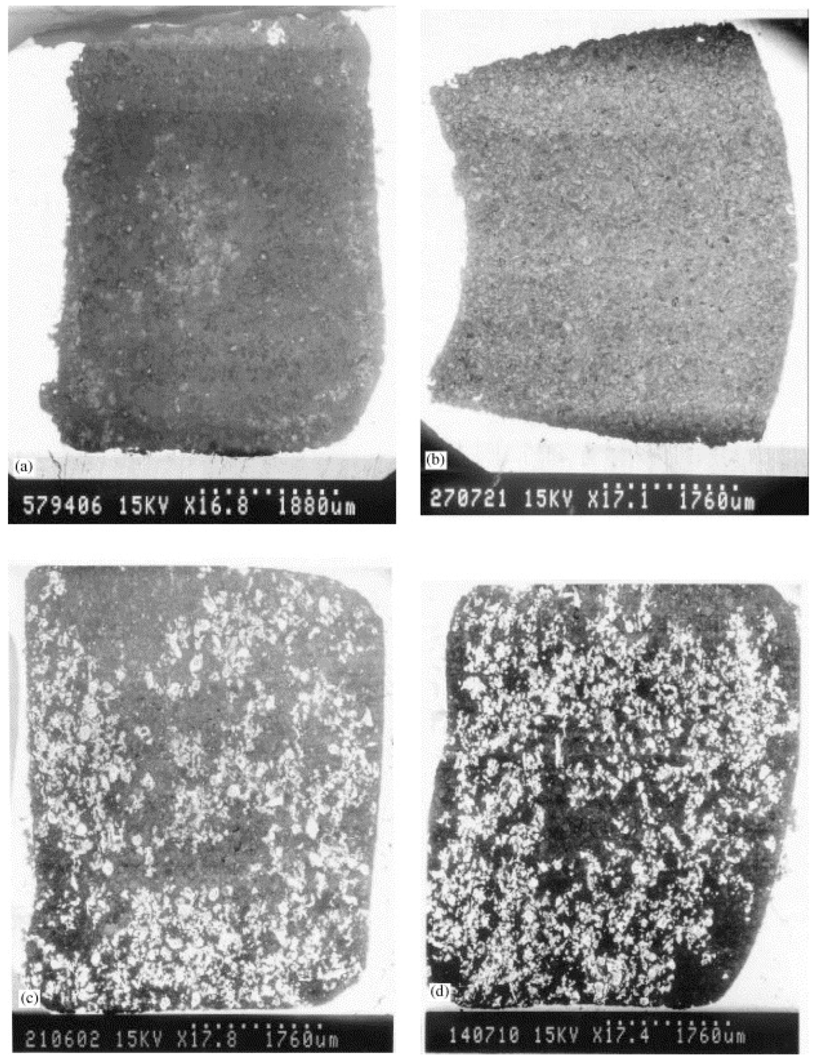 Foundations 04 00015 g006 Foundations 04 00015 g006